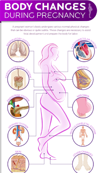 pregnancy-body-changes.png