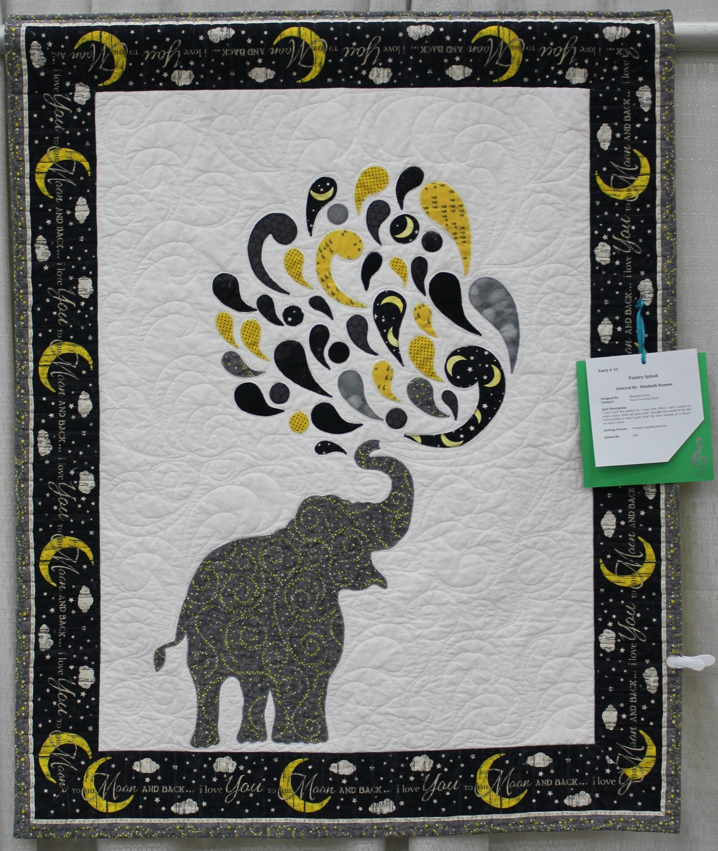 SM Paisley Splash by Elizabeth Hanson.jpg