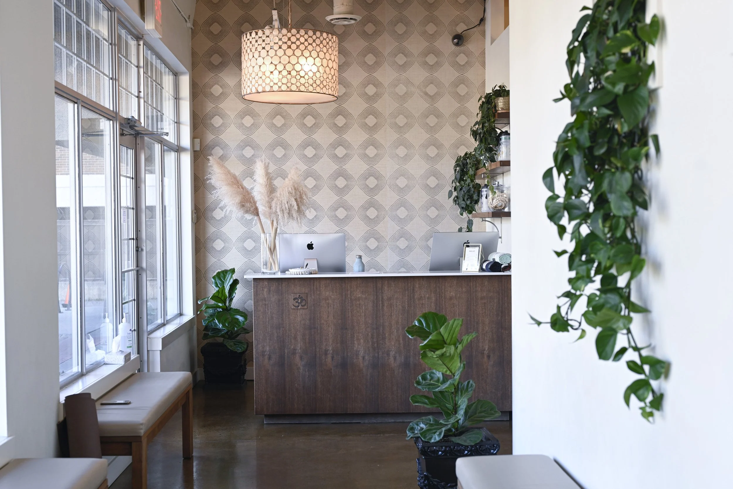 Interior of a modern reception area with a wooden desk, two iMac computers, and decorative pampas grass in a glass vase. There are green potted plants on the floor and shelves, large windows on the left, patterned wallpaper on the back wall, and a large pendant light hanging from the ceiling.