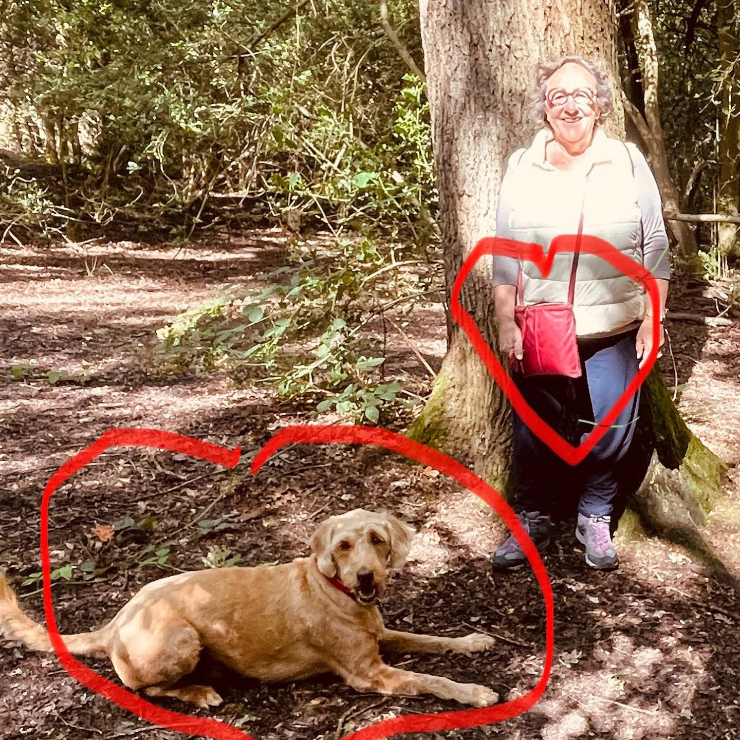 Two trusted companions to take on my walk through Wimbledon Common😊 #schianto Passeggiata #leather #australianhandmade #phonecase #traveler #smallbag #walkinglondon #madeinmelbourne🇦🇺 #travelbag #artisanleather