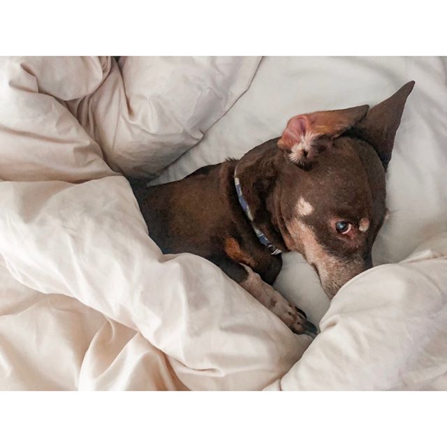 Serious Friday feels! ⠀⠀⠀⠀⠀⠀⠀⠀⠀
But I got up early this morning to prepare for a BUSY day including kindergarten rodeo, two home stagings AND girls night 🥂⠀⠀⠀⠀⠀⠀⠀⠀⠀
Cheers to it almost being the weekend!!⠀⠀⠀⠀⠀⠀⠀⠀⠀
.⠀⠀⠀⠀⠀⠀⠀⠀⠀
.⠀⠀⠀⠀⠀⠀⠀⠀⠀
.⠀⠀⠀⠀⠀⠀⠀⠀⠀
.⠀