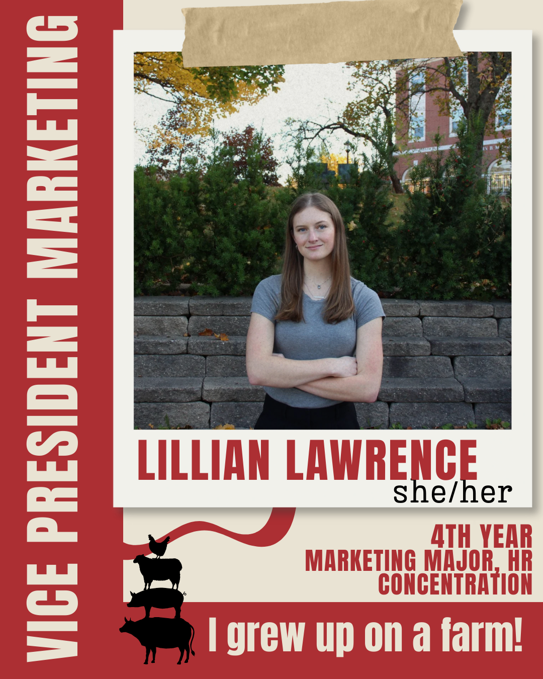 Copy of EVP Portfolio (1).png