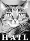 HAIL KITTY