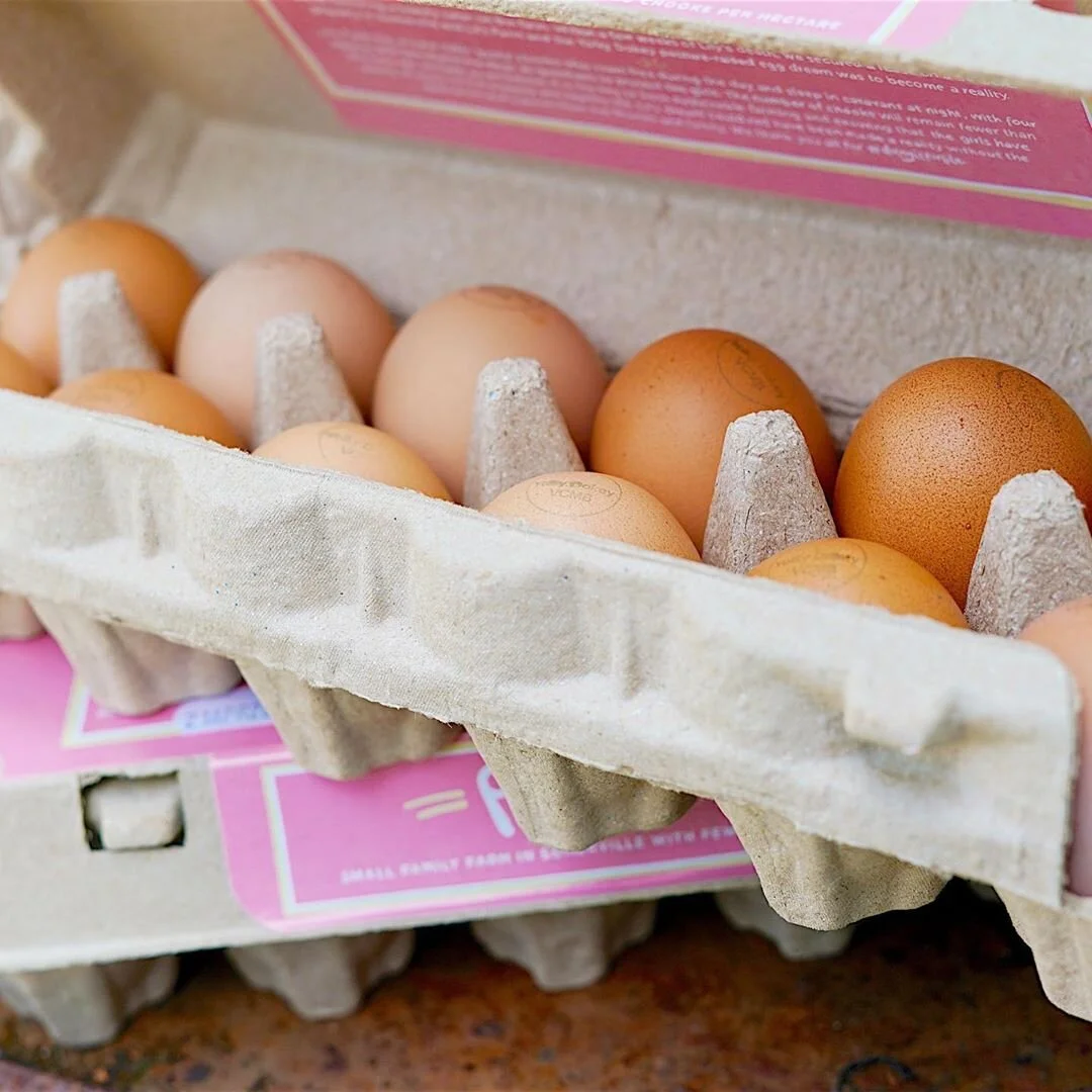 Eggs_Ripped.jpg
