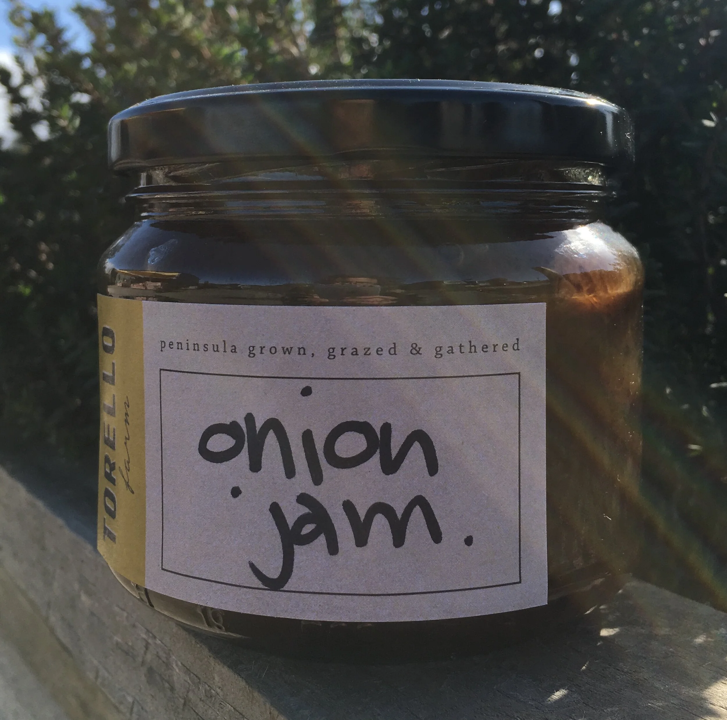 Torello_OnionJam.JPG