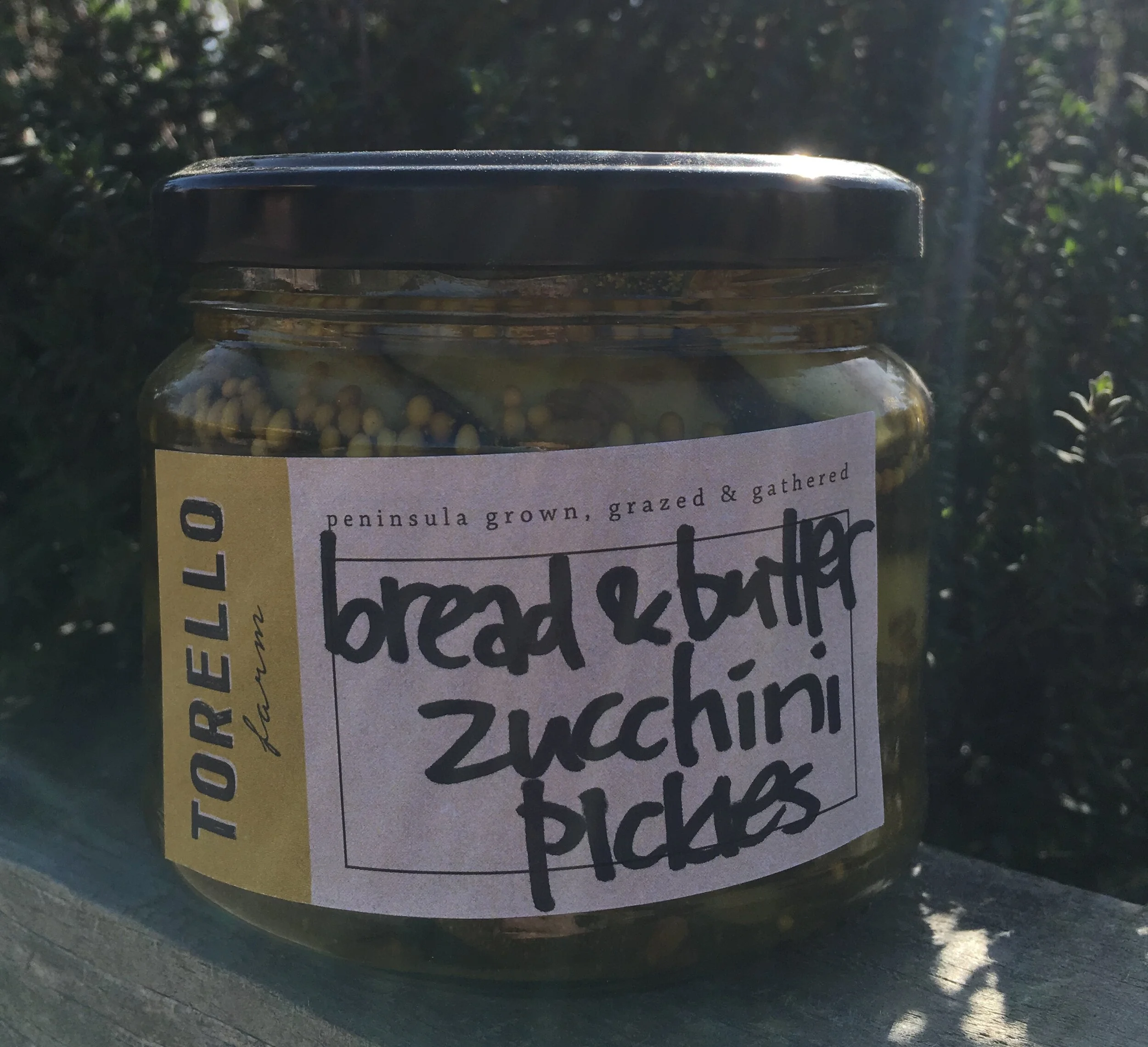 Torello_Zucchini.JPG