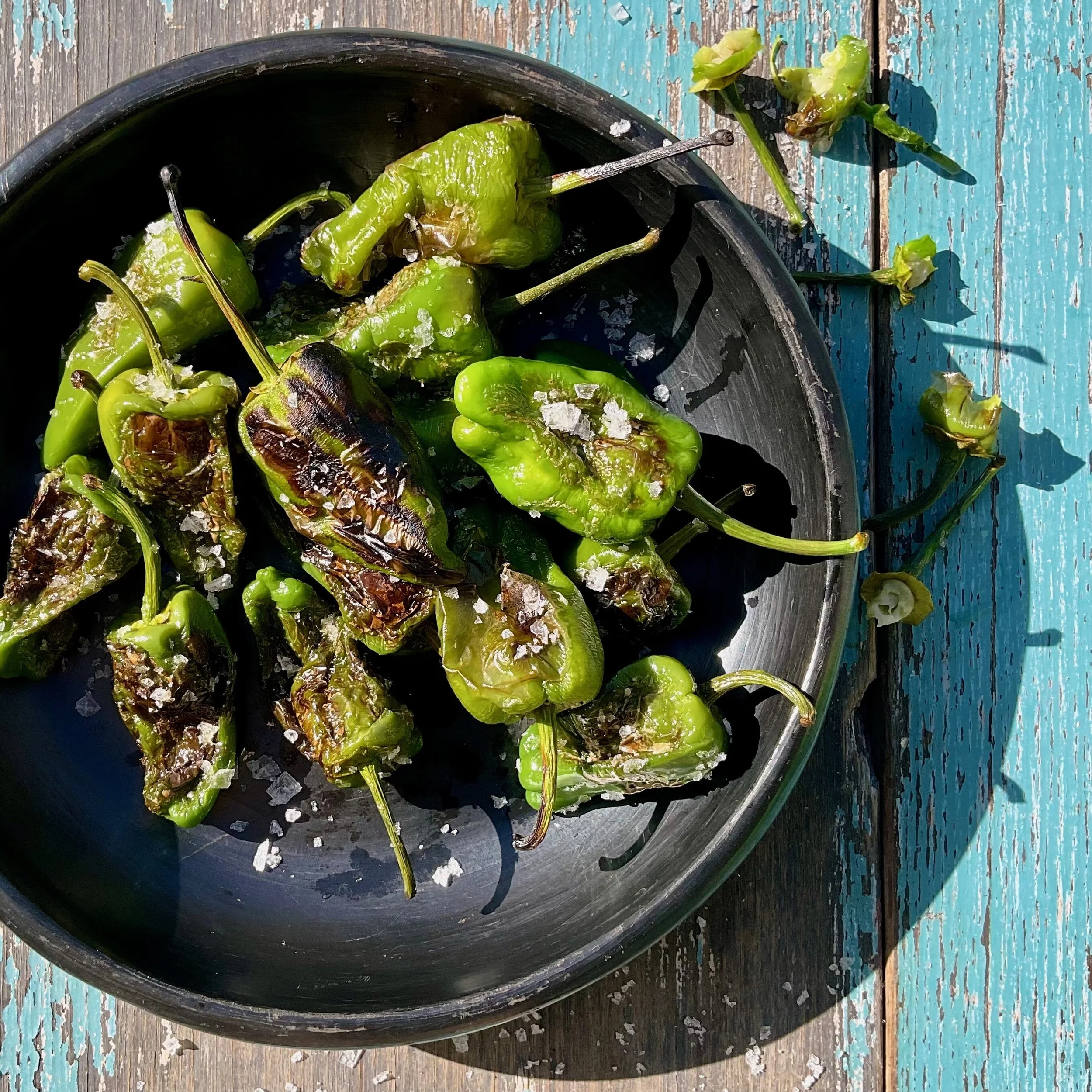 PAN FRIED PADRON PEPPERS