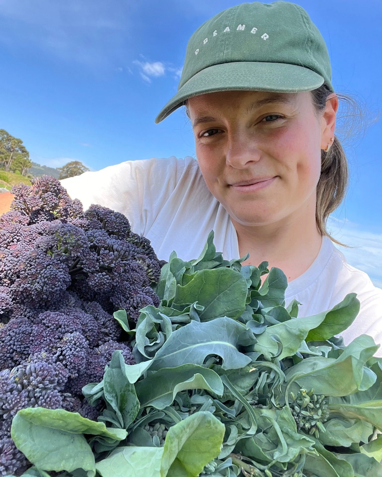Fresh picks from Ally at @gentle.harvest ❤️ 

Inspired by @the_kitchen_gardener_au, this season Ally has grown spigarello for the first time. It's an Italian heirloom variety whose wavy leaves have a mild, sweet broccoli flavour. Cook spigarello by q
