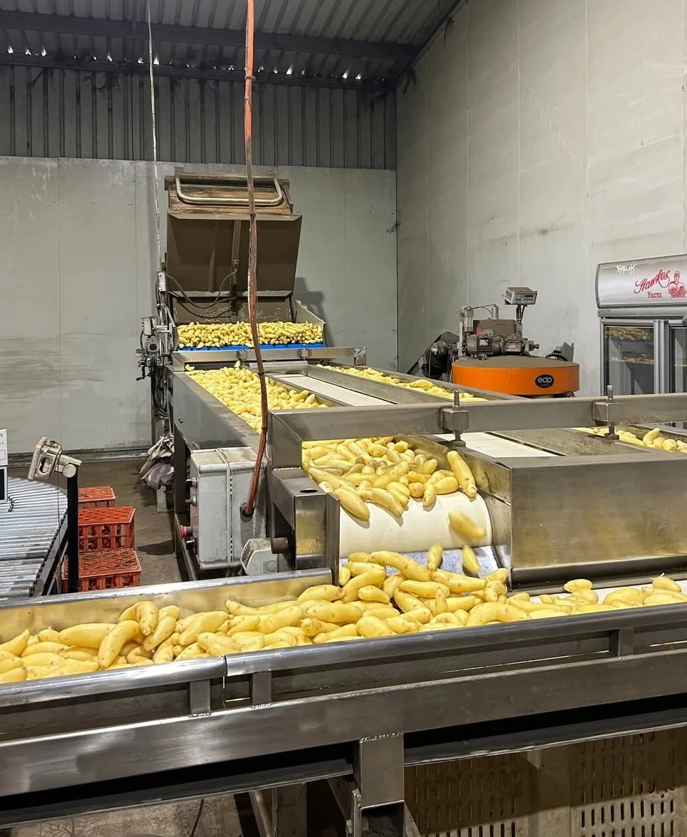 NEW SEASON potatoes from the good folk at @hawkes_farm thanks to the hard work of Richard and his son and trusty assistant, Rupert 🙌 The first two varieties Hawkes have harvested are Kipflers and Extons ❤️ 

Kipflers are a waxy potato, which means t