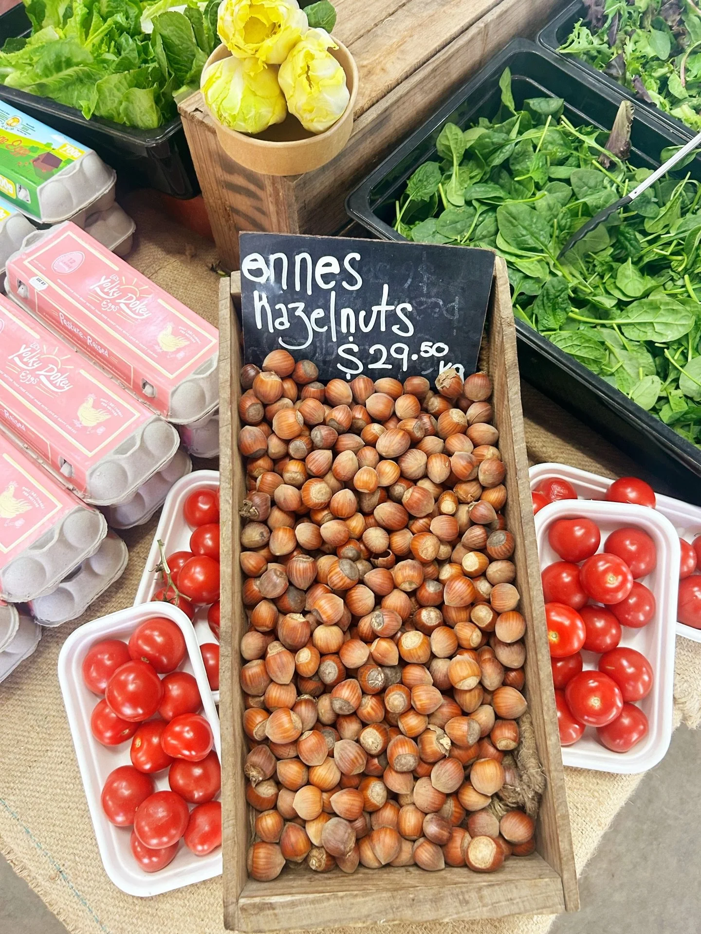 These beautiful air dried hazelnuts have landed in the farm gate from Jenny at @redhilltruffles ❤️

On her farm up the road, Jenny has hazelnut and oak trees, which have been inoculated with truffle. Whilst truffles are the main game at Red Hill Truf