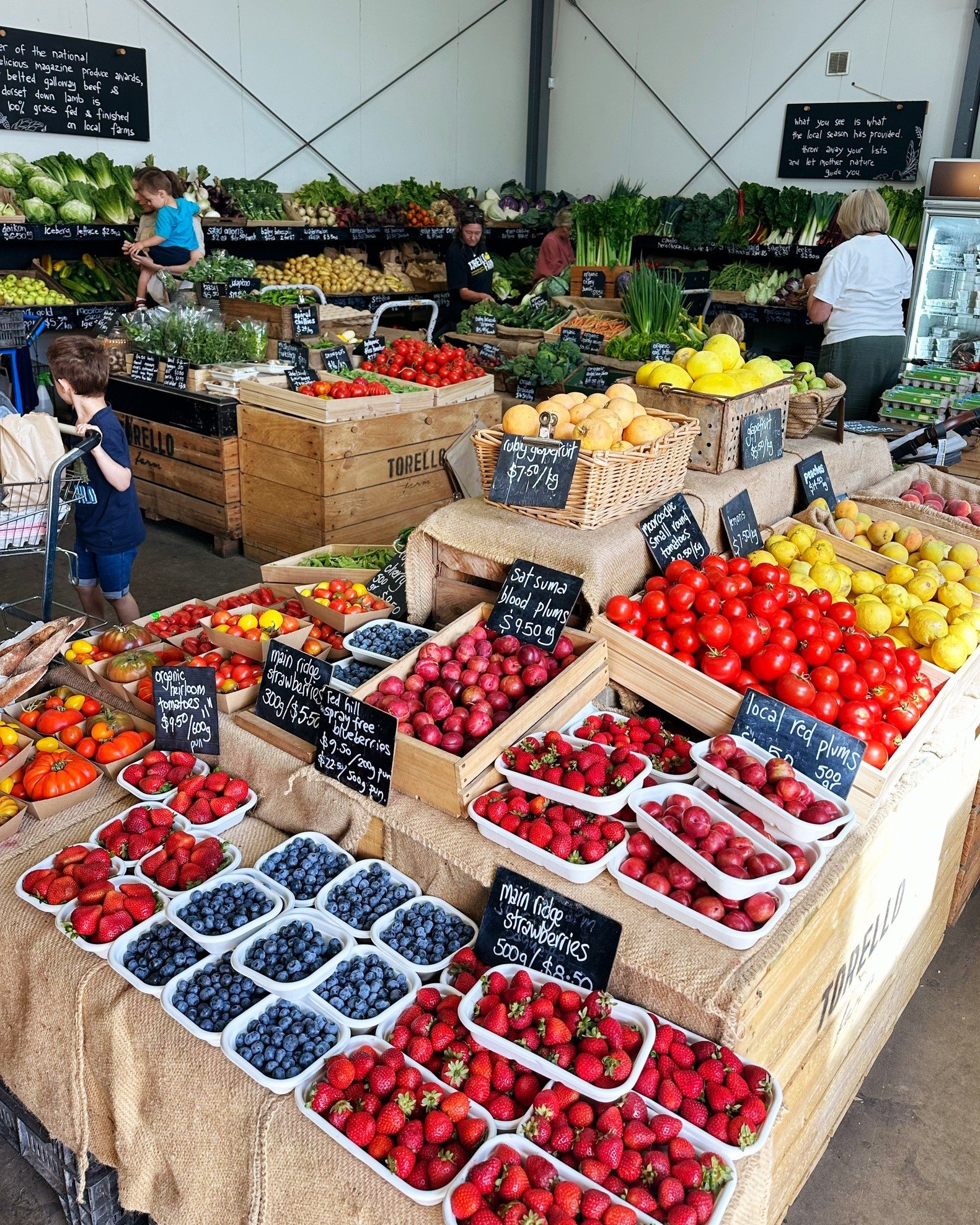 Incoming summer bounty includes sweet sweetcorn, zucchinis picked metres away from the farm gate, all manner of plums including blood plums, oh my days have we got tomatoes (including boxes of saucing tomatoes), new season potatoes, peaches, nectarin