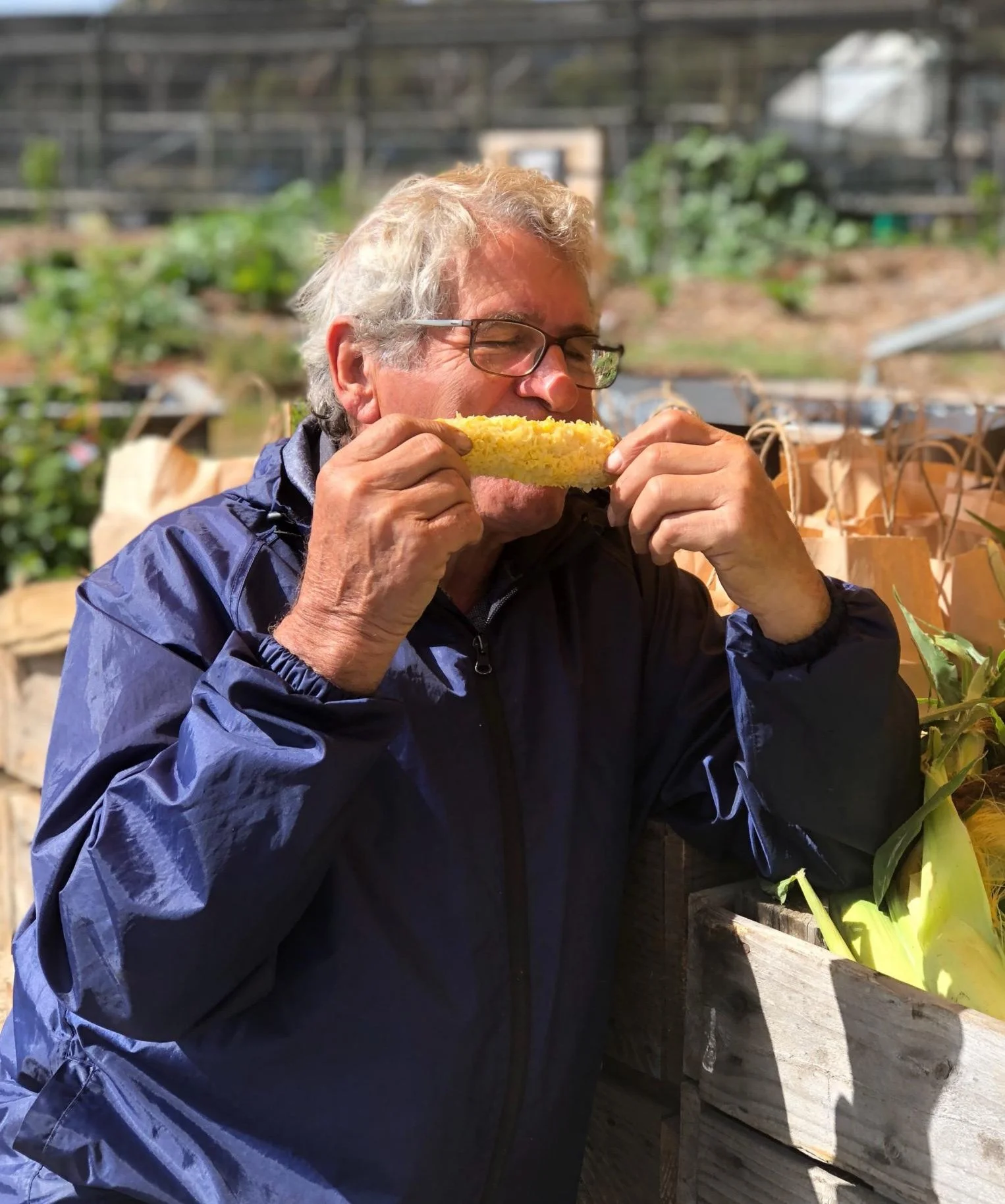 Nonno's face says it all 🌽 Sweetcorn season is here with magificent cobs from @hawkes_farm and sweet, organically grown ones from Joe and Ange in Bittern ❤️
.
.
.
#torellofarm #sweetcorn #localfoodmatters #notsupermarketfood #eattherainbow🌈
