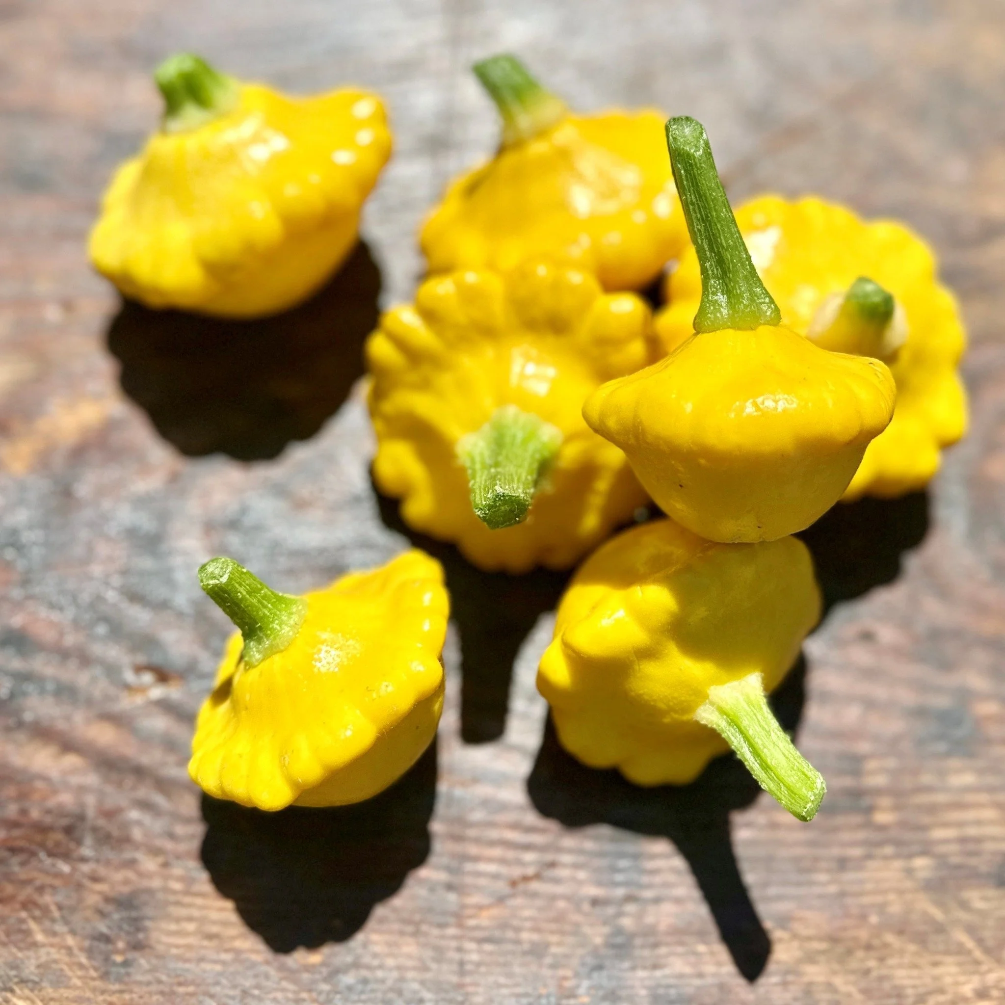 These cute little yellow squash (aka patty pan squash) are organically grown onsite just metres away from the farm gate by Sean from @wildgrainmornington ❤️ 

In today's recipe @fionahammondfood has saut&eacute;ed the squash with olive oil and garlic