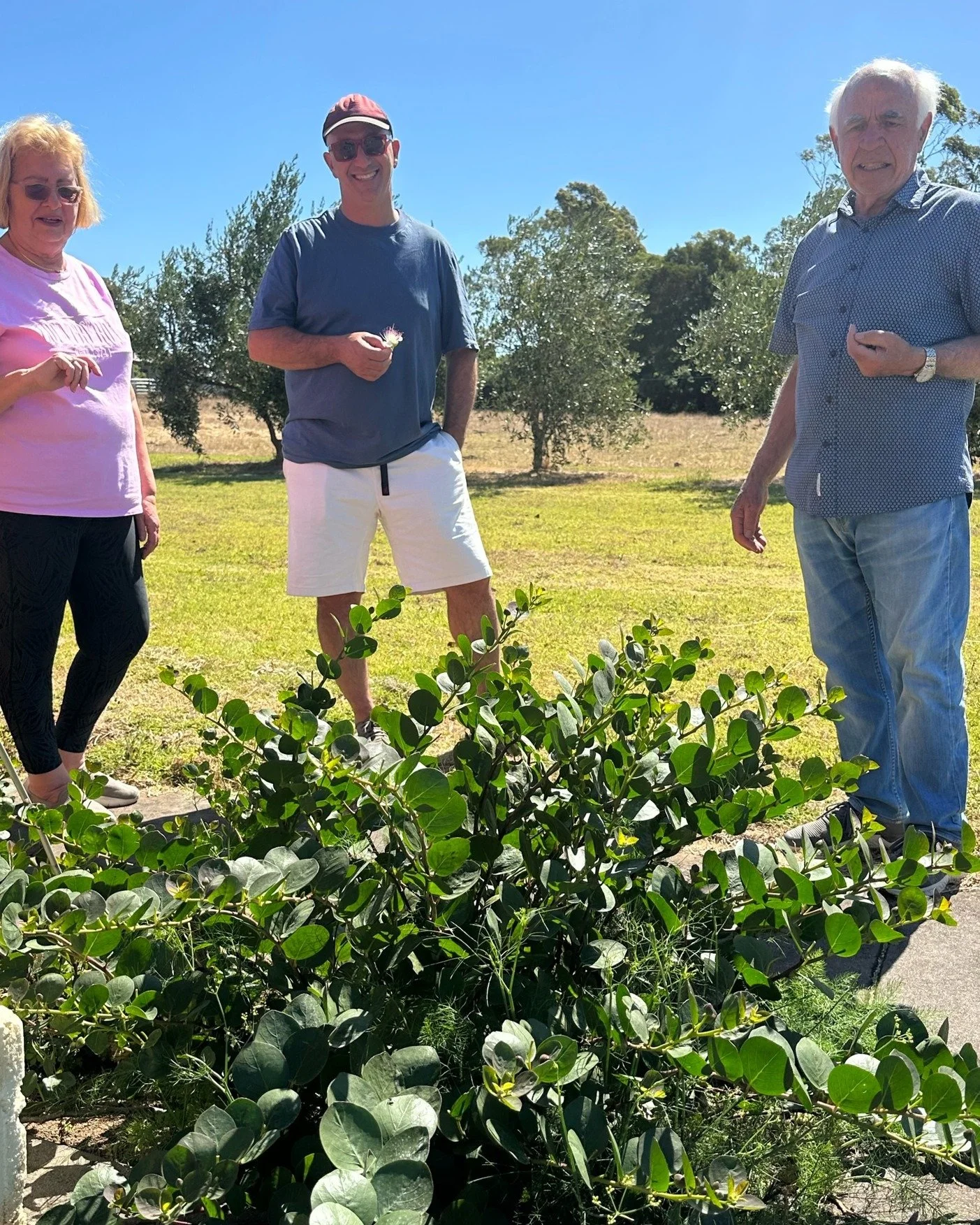 One of the true joys of owning Torello is meeting amazing people in our community growing beautiful things 🌈 

Recently Mark and I took at trip to Red Hill Capers to meet the lovely Olga and Bob Biviano to see their caper bushes in action. Olga's pl