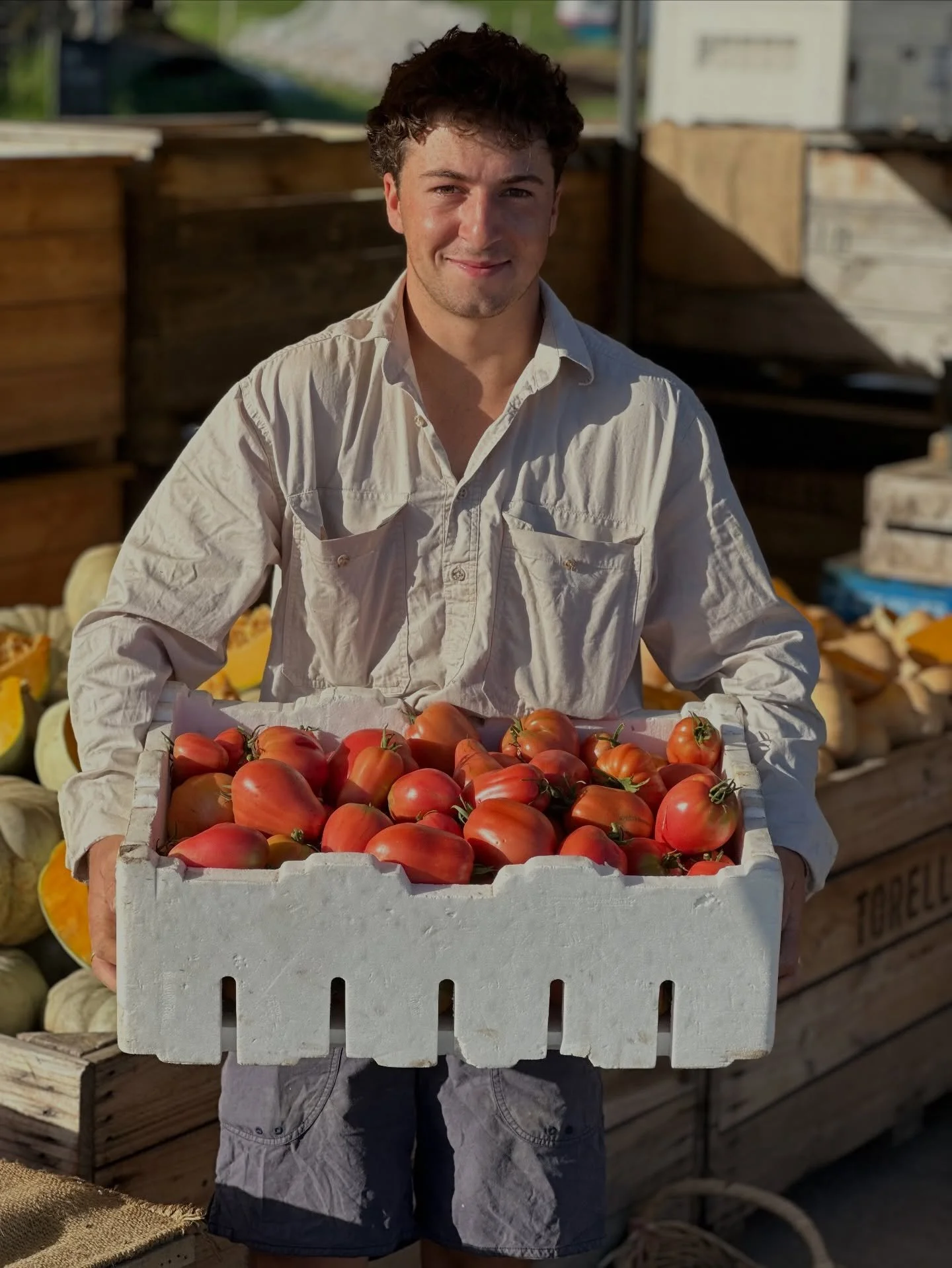 This year Hugo and his Nonno Mick have grown tomatoes at Torello and the crop is cranking ❤️ Plants were grown from seeds that Mick has saved over years and whilst no one knows the specific variety names, their flavour is banging! 
.
.
.
#torellofarm