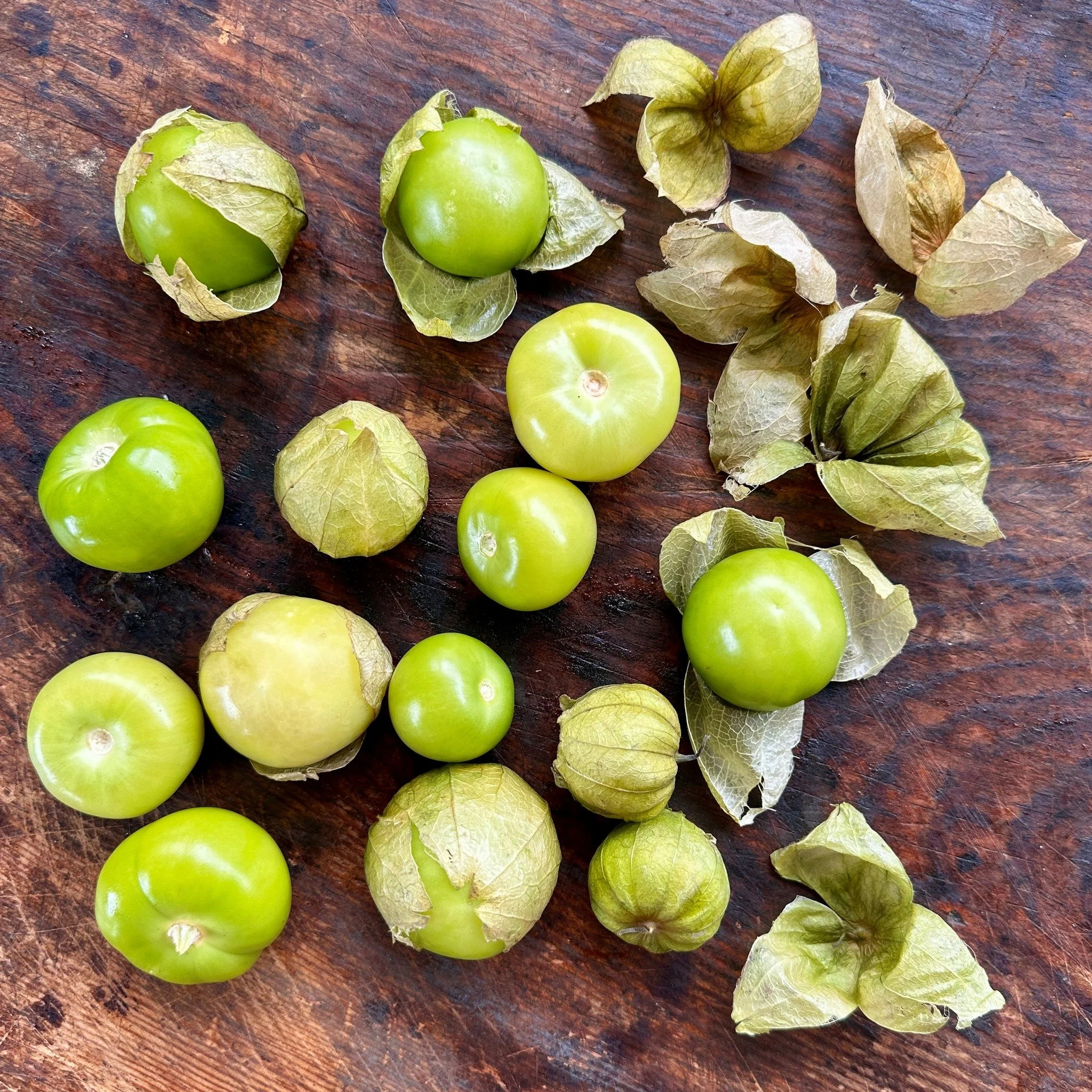 IT'S TOMATILLO TIME, which means it&rsquo;s time to make a classic Mexican salsa 💃 

Apart from being the perfect condiment to serve with tacos, quesadillas and enchiladas, @fionahammondfood's tomatillo salsa is also delicious with seafood, barbecue