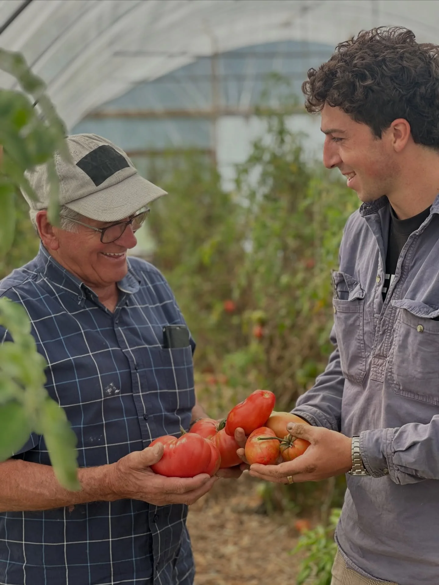 Nonno Mick and his grandson Hugo ❤️ It&rsquo;s been beautiful watching these two work together growing tomatoes this season on the farm. All tomatoes have been grown from seeds Mick has saved and their delicious, flavoursome fruit is still available 