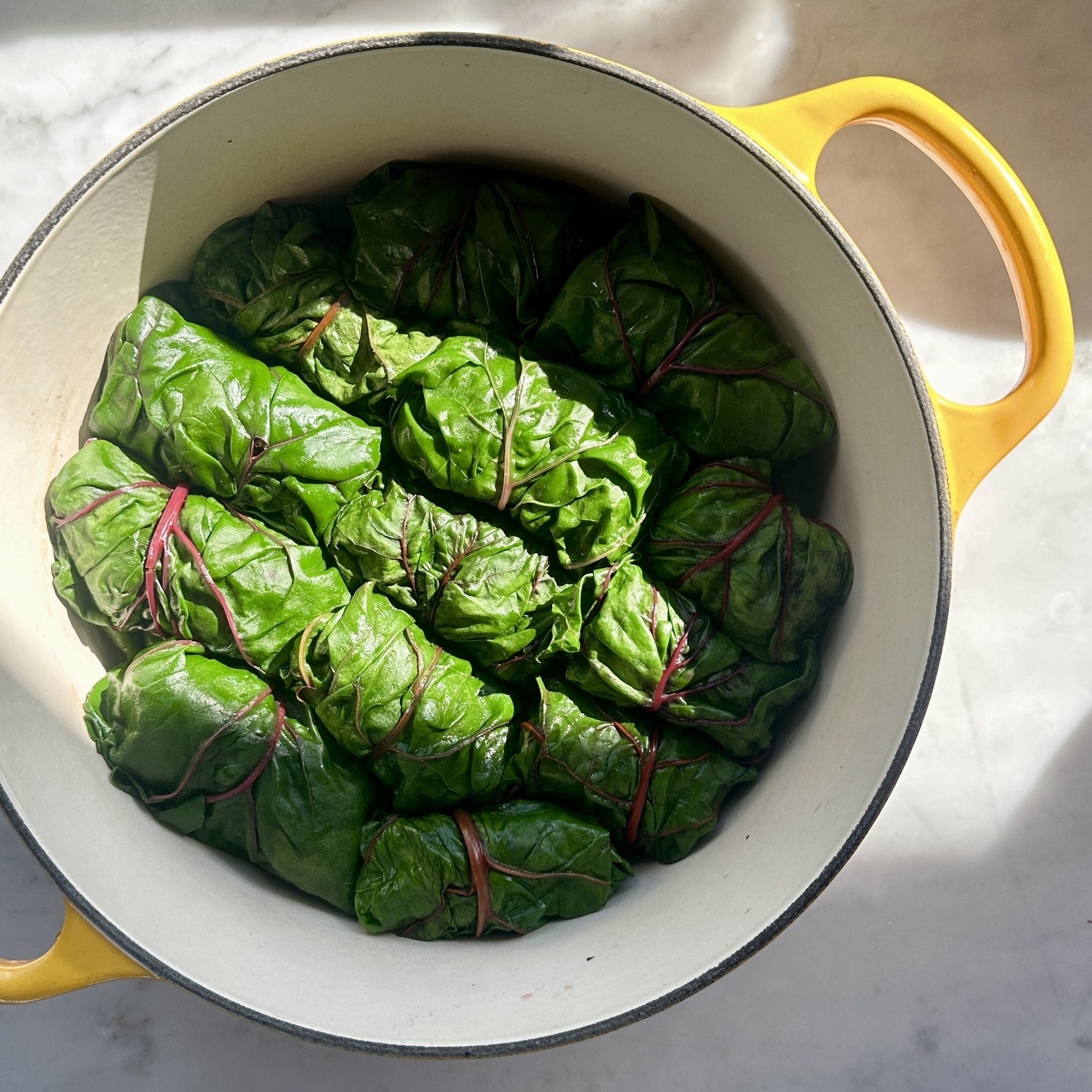 RAINBOW CHARD &amp; LAMB DOLMADES 
