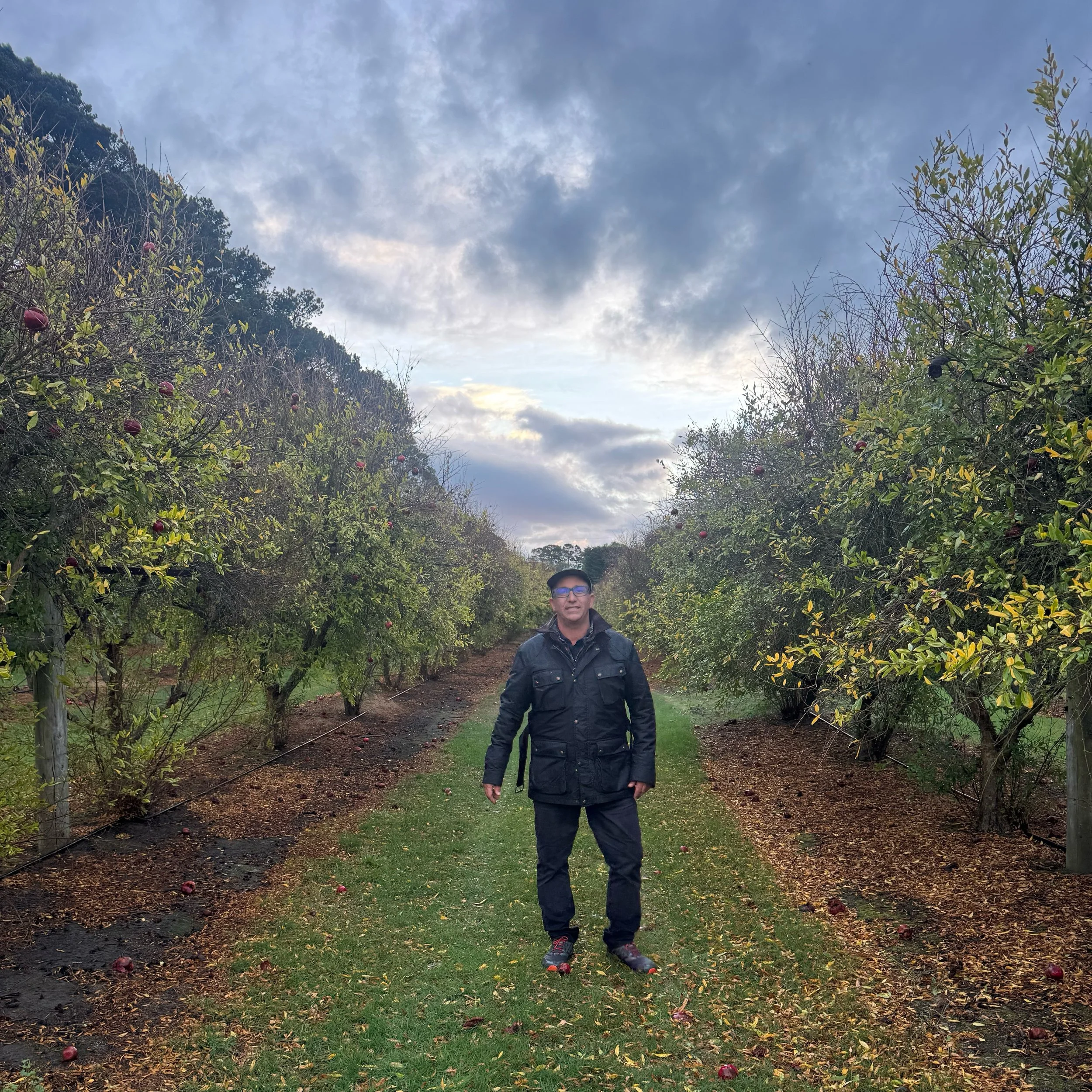 Mark loved his visit to Janine and Benji&rsquo;s property in Balnarring to see their magnificent pomegranate orchard ❤️ We are thrilled to bits they are supplying us this autumn with their beautiful fruit and look forward to working with them in the 