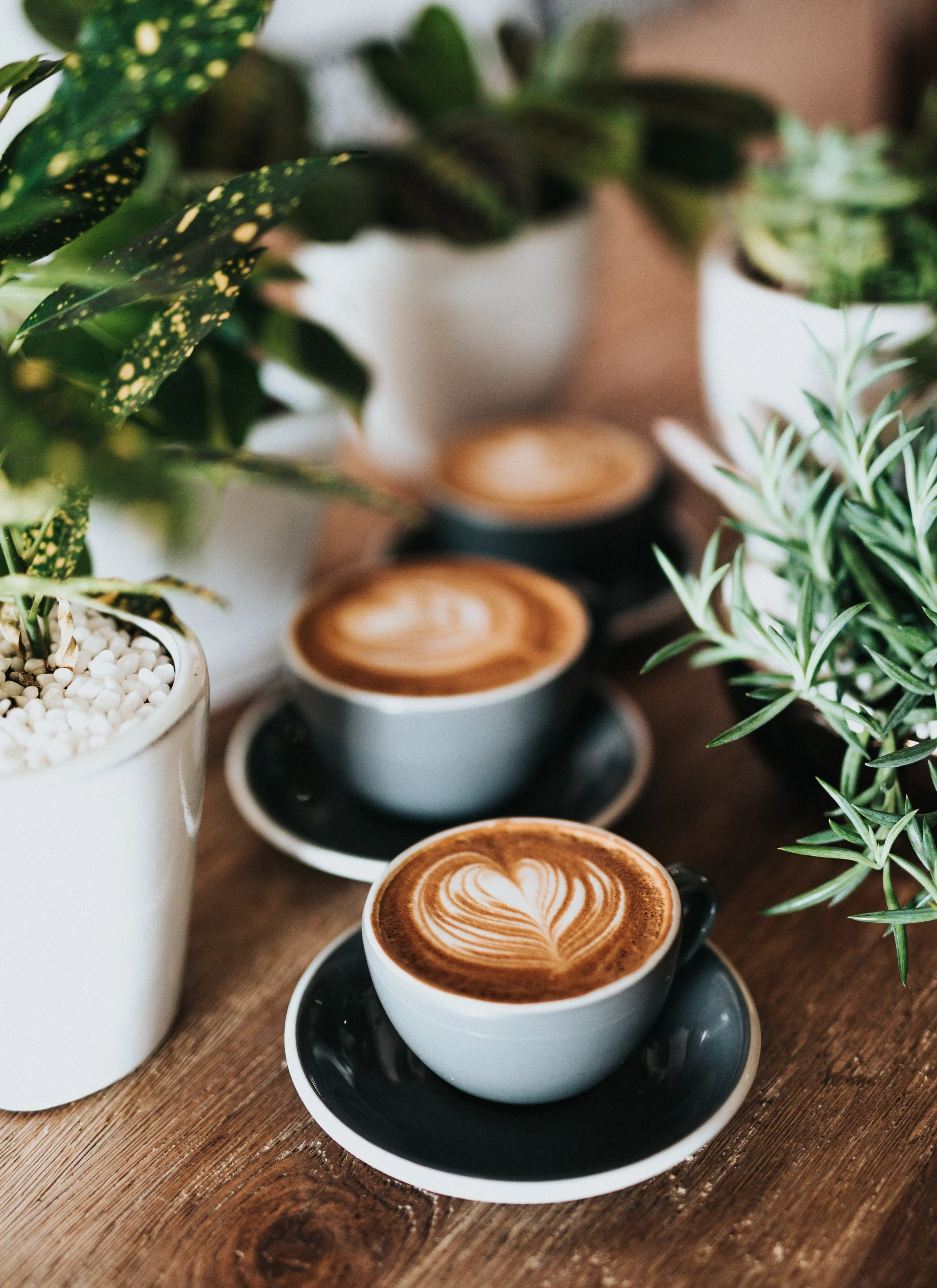 Photo by Nathan Dumlao on Unsplash