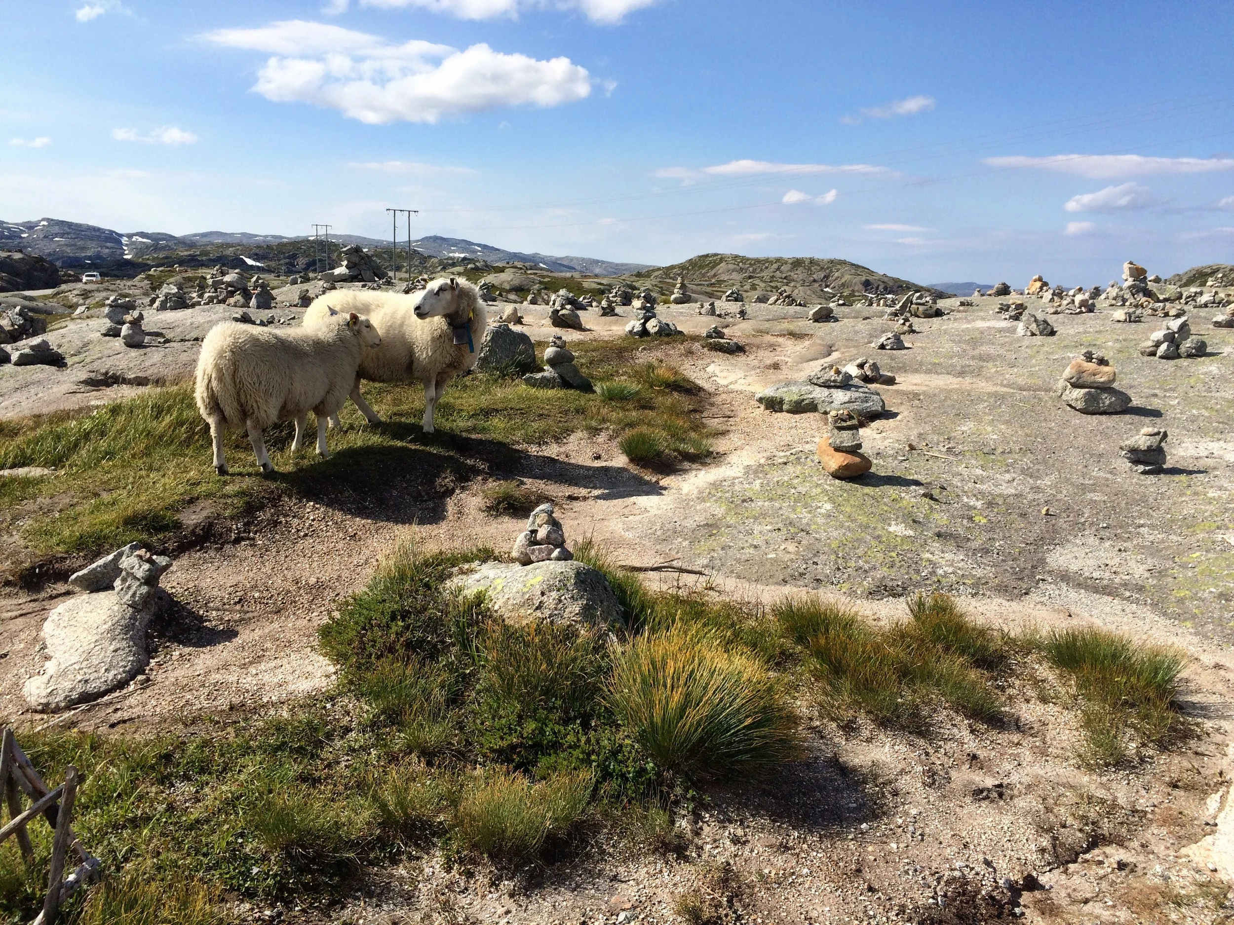Norway | August 2015