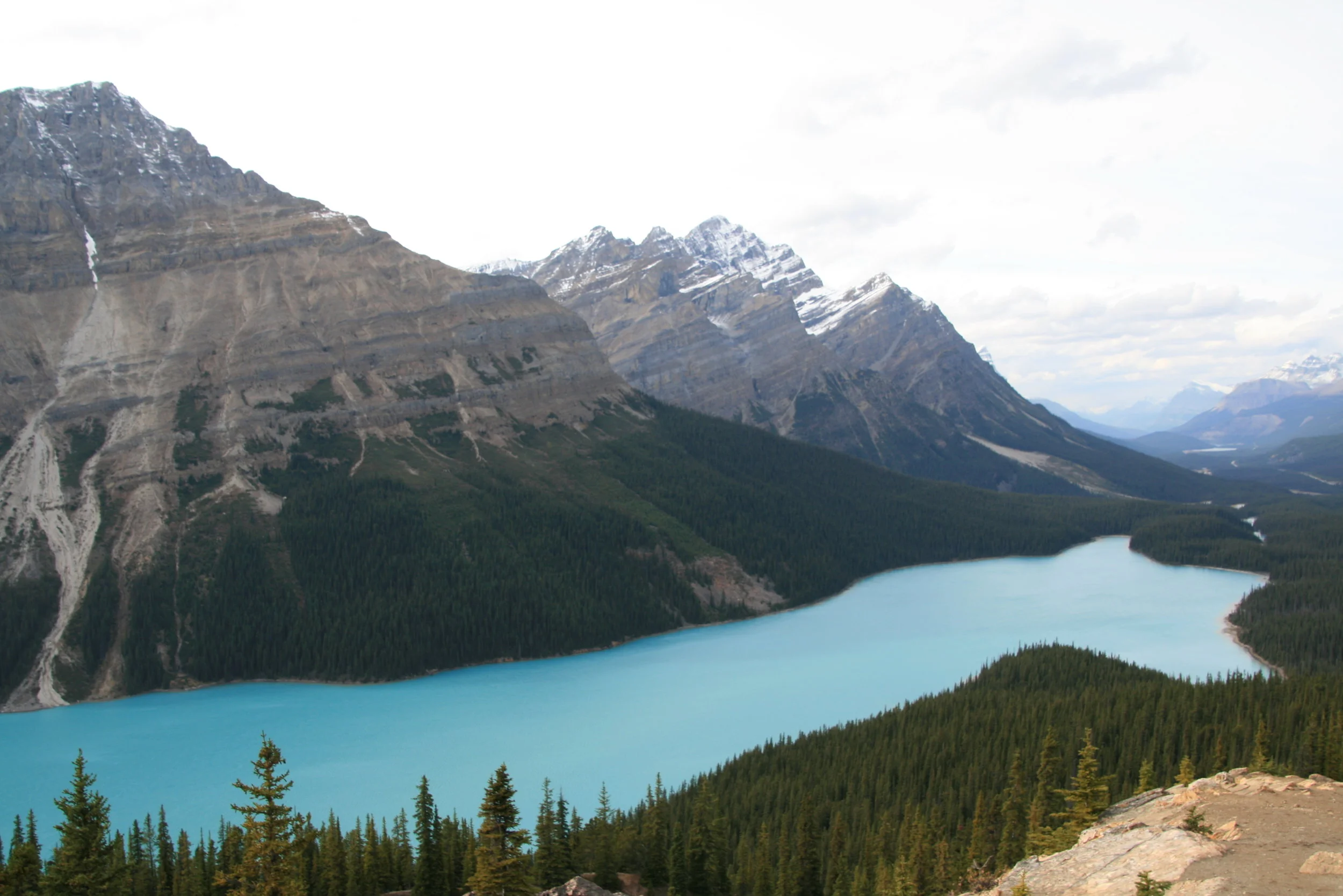 peyto-lake.jpg