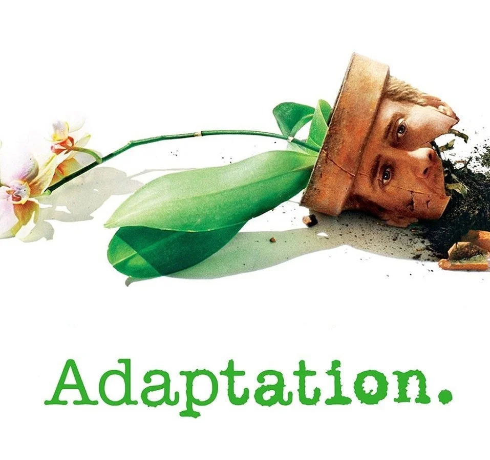 3. Adaptation. (2002)