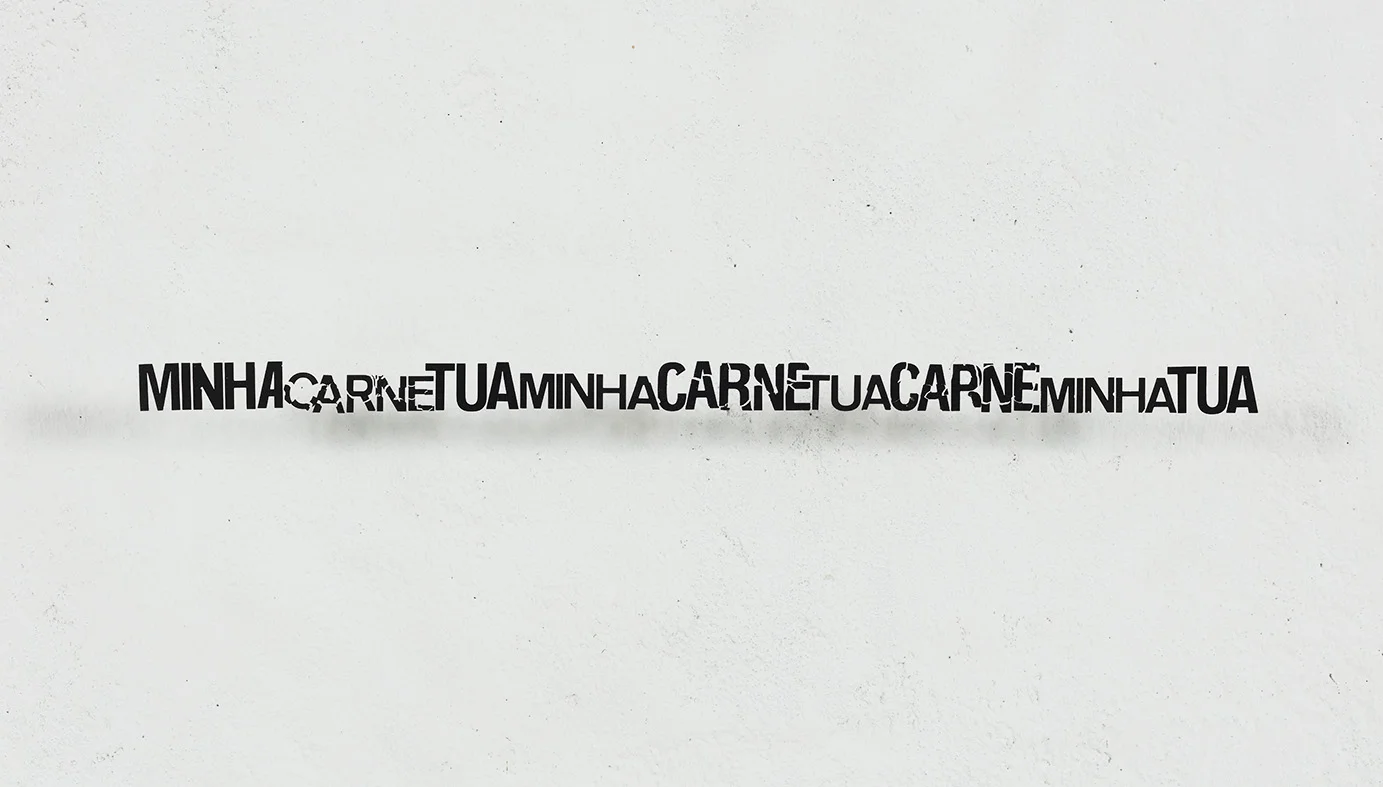 Minha Carne Minha Tua Carne