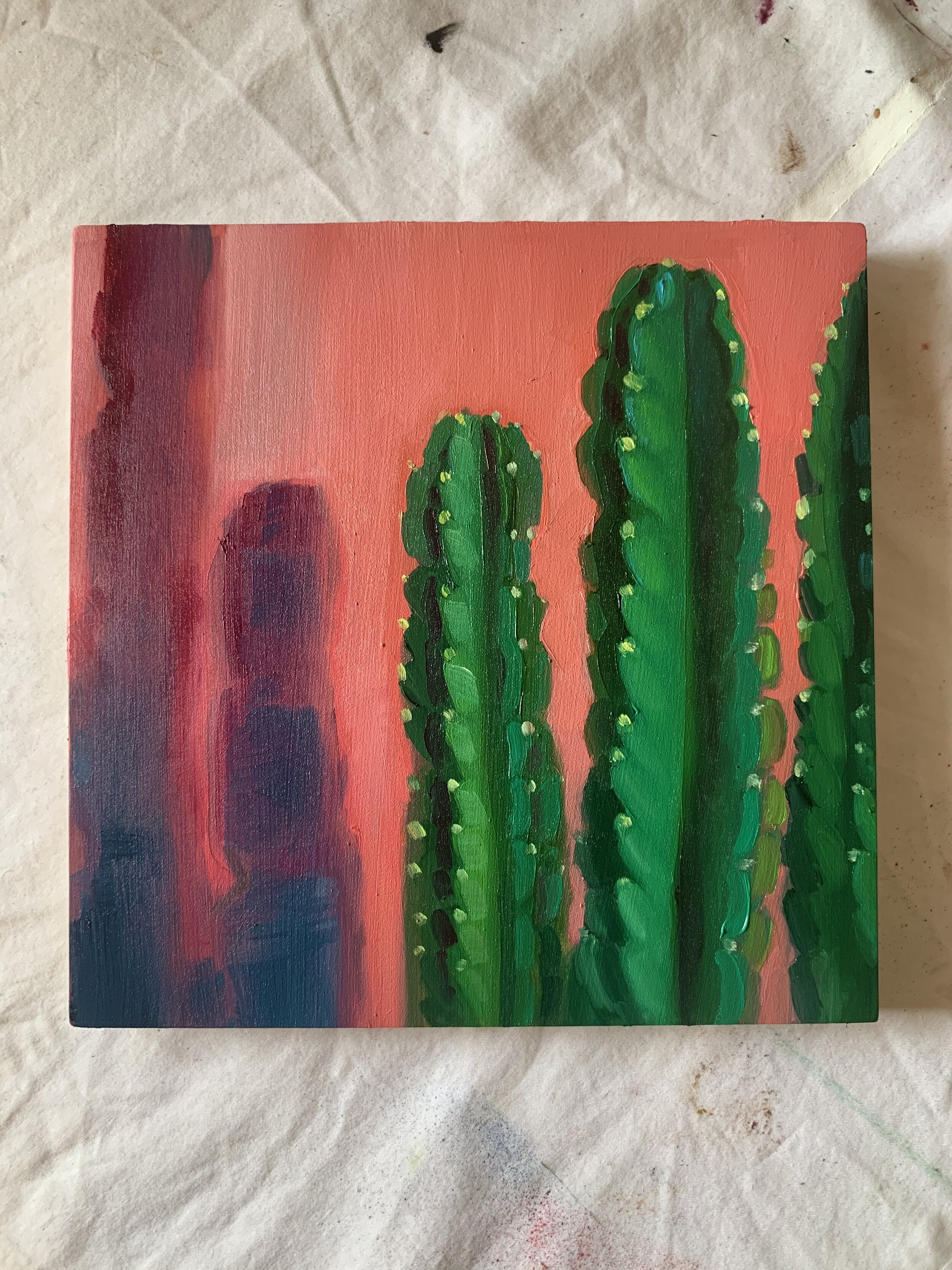 Cacti
