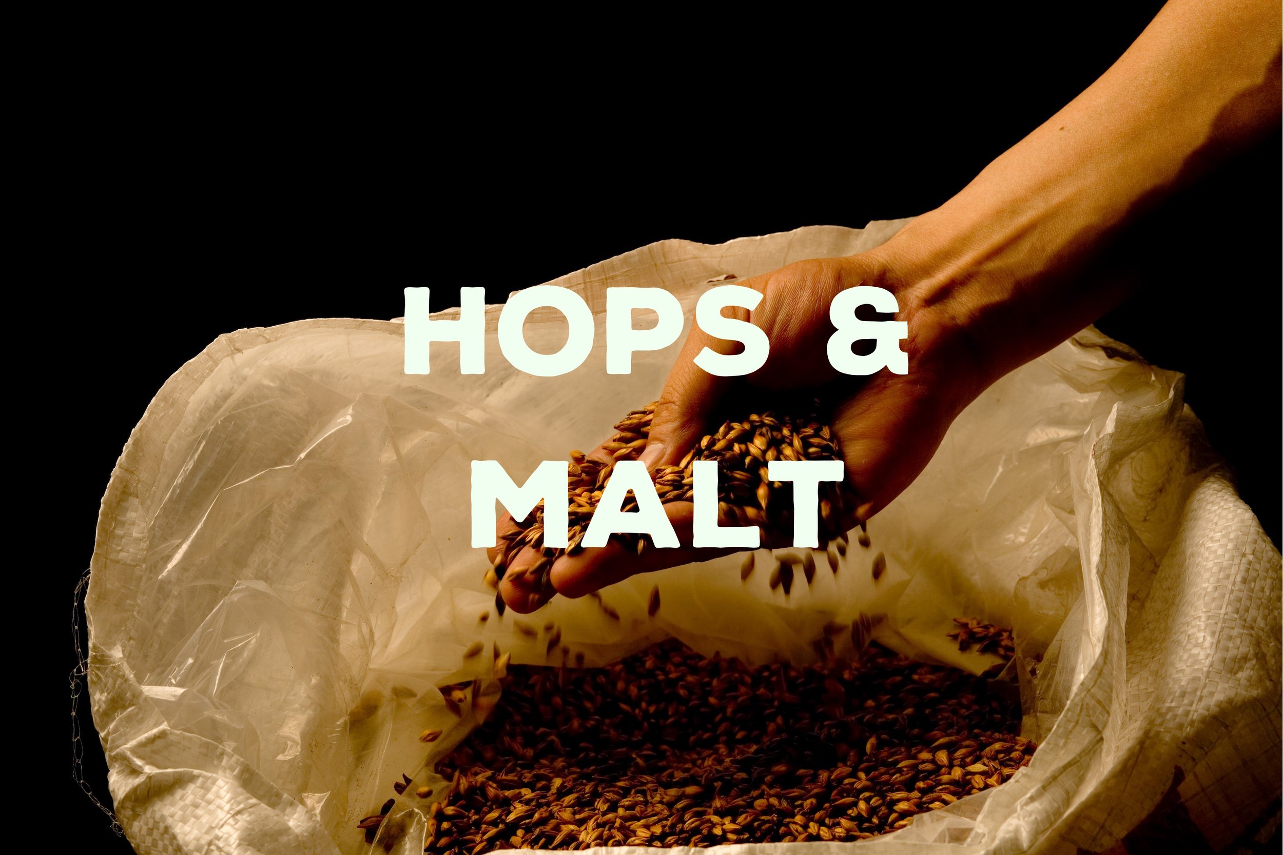 HOPS.jpg