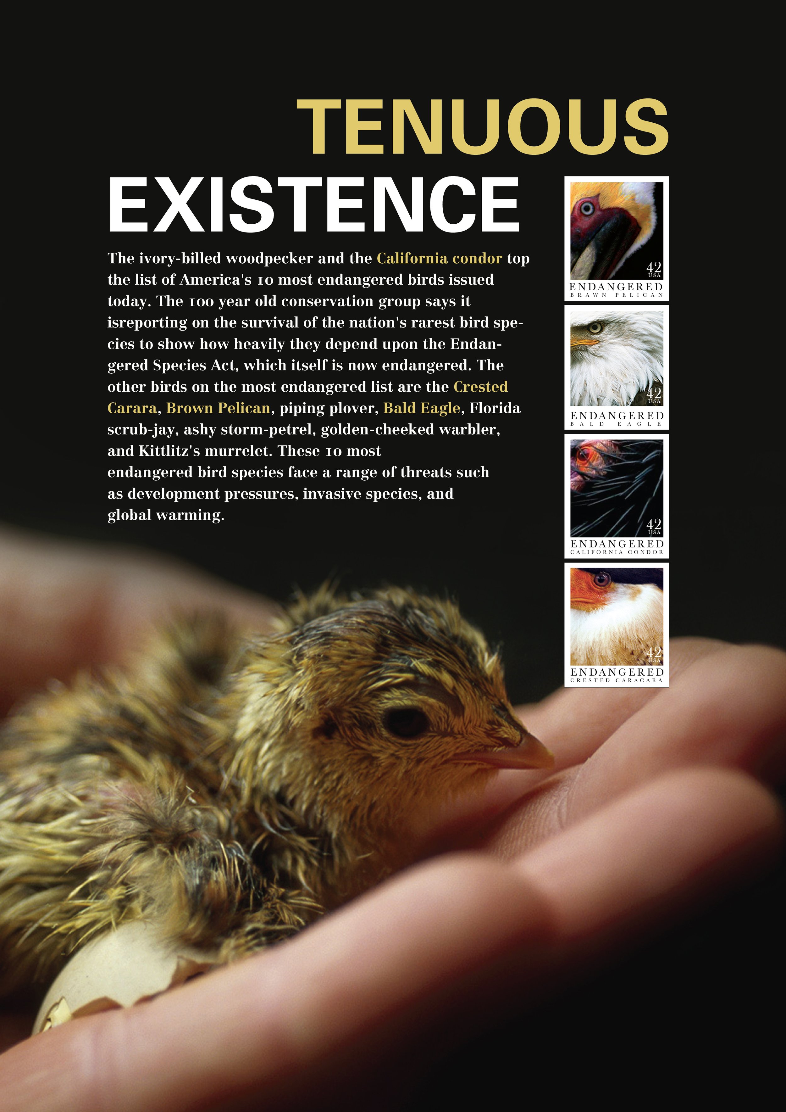 POSTER-2.jpg