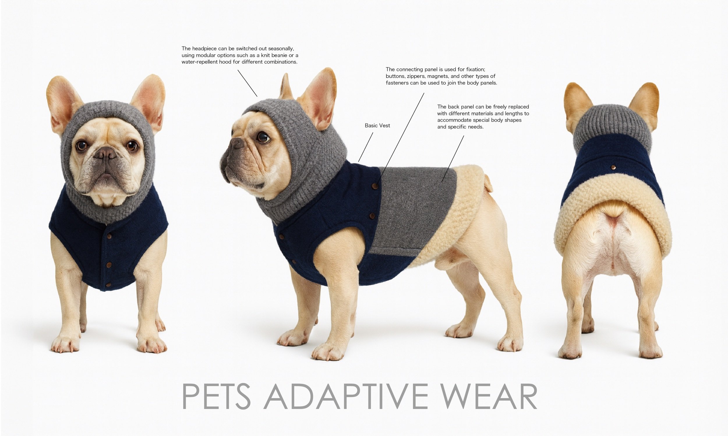 Stylish Bulldog in Cozy Winter Wear.jpeg