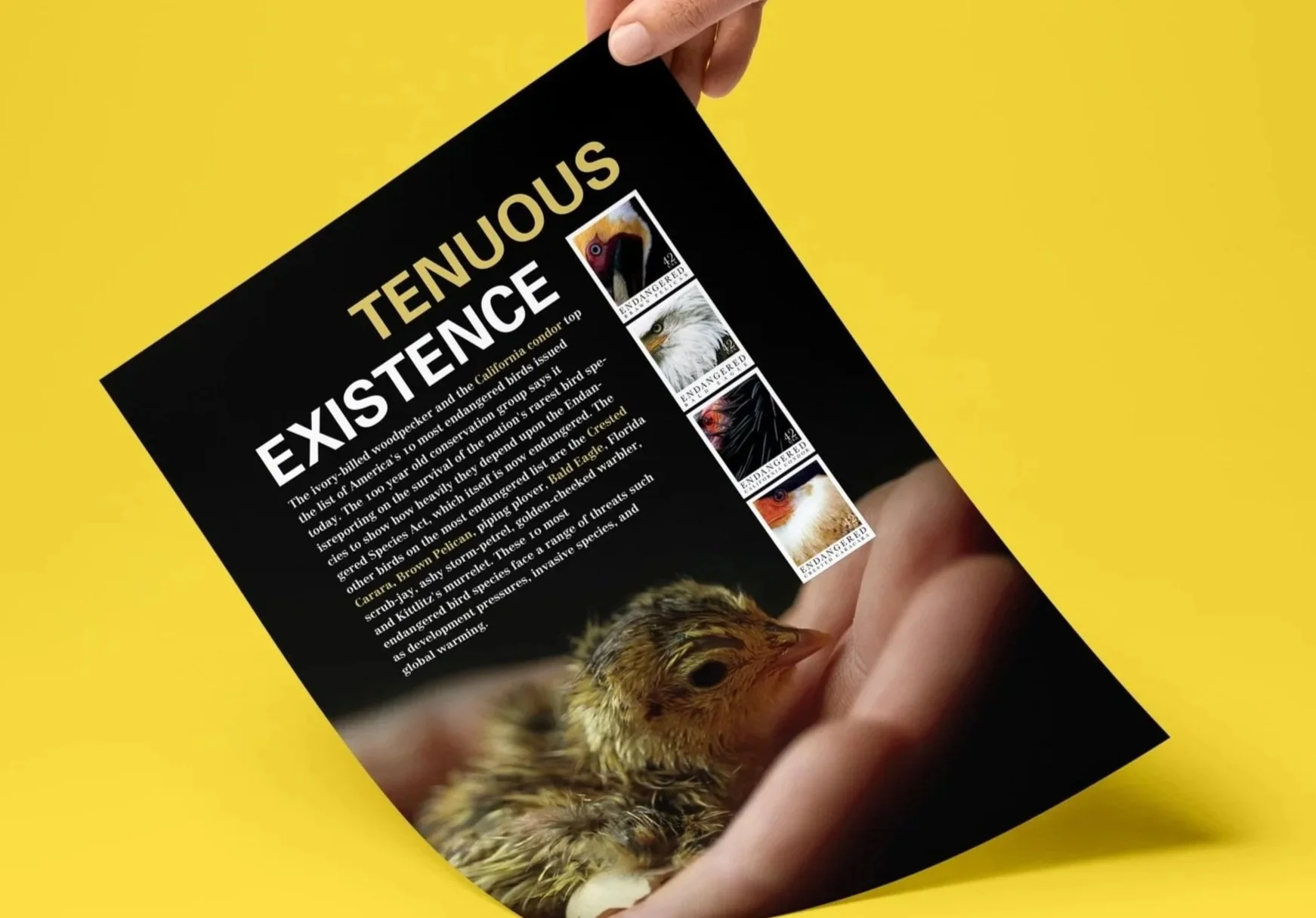 A4 Paper PSD MockUp 4.jpg