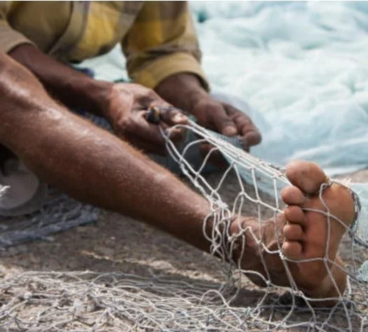 Increasing Knowledge and Actions to Address Modern Day Slavery