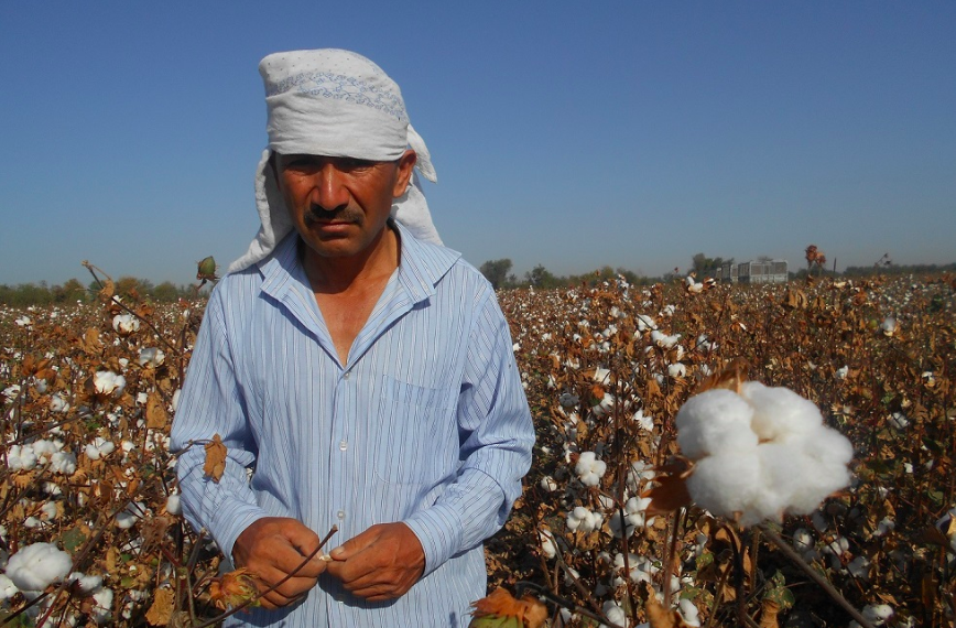 As Commitments Escalate in Uzbekistan to End Forced Labor, Vigilance Needs to Continue