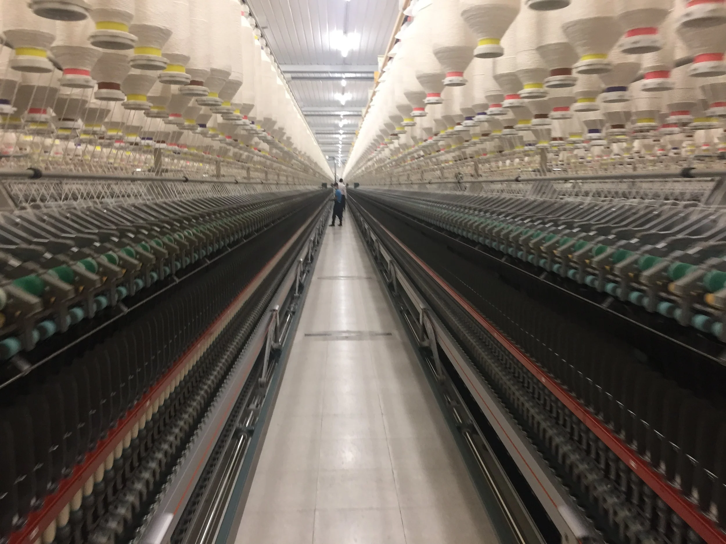  Feasibility Assessment of YESS: Yarn Ethically &amp; Sustainably Sourced