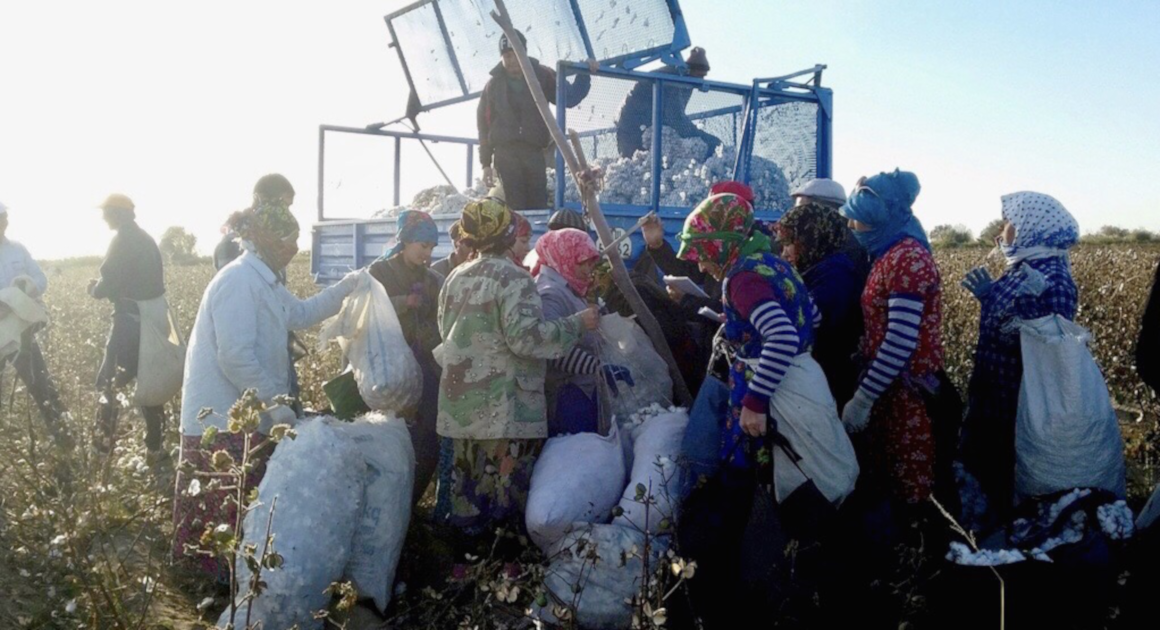 How Can We Mitigate Turkmen Cotton in the Turkish Supply Chain? YESS Is the Answer