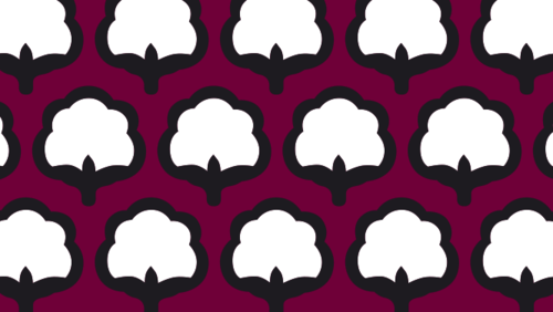 Cotton Campaign Ends its Call for a Global Boycott of Cotton from Uzbekistan