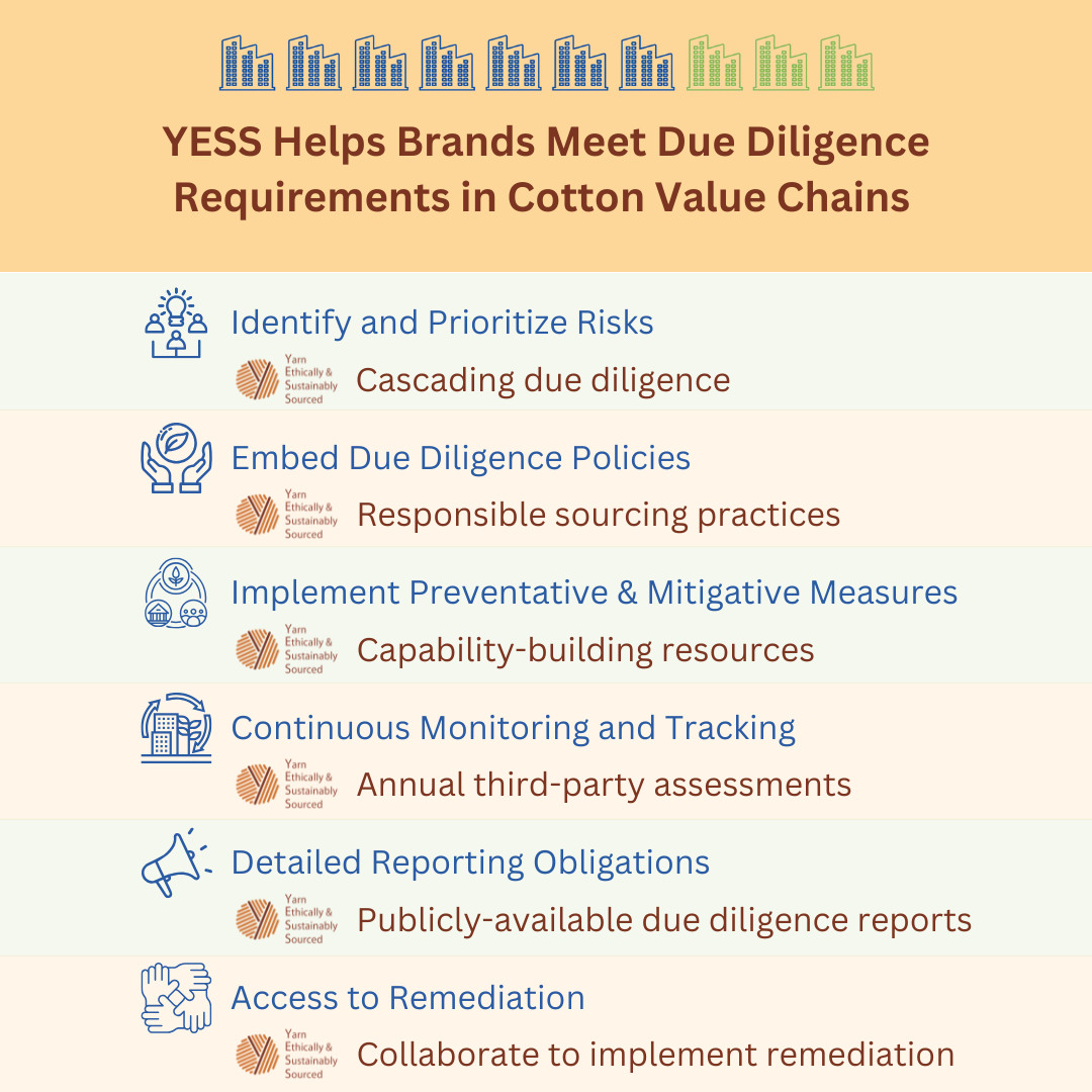 How YESS Helps Brands Meet Evolving Regulatory Requirements to Implement Due Diligence in Their Cotton Value Chains 