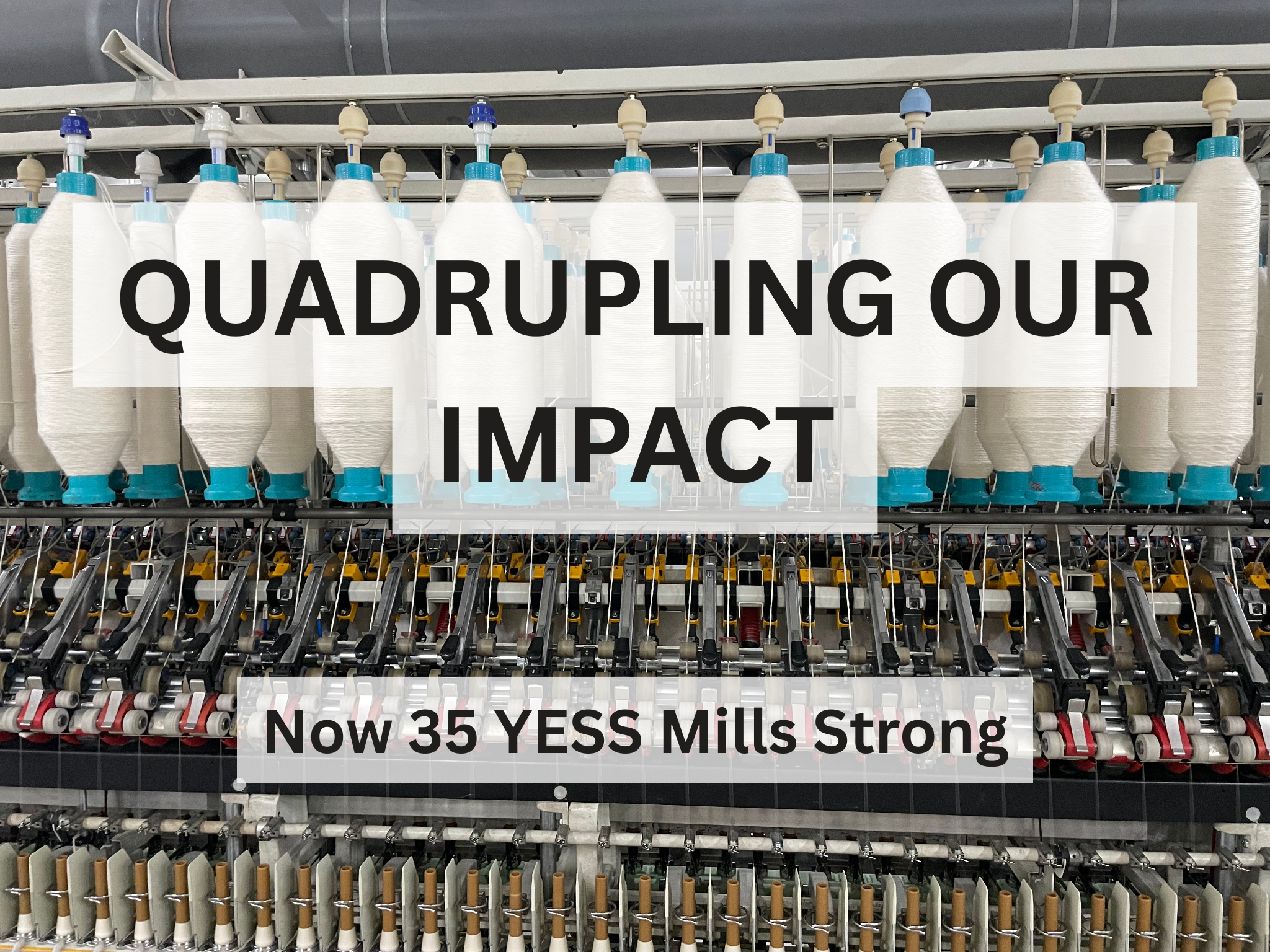 We quadrupled mill membership in one year, YESS is now 35 mills strong! 