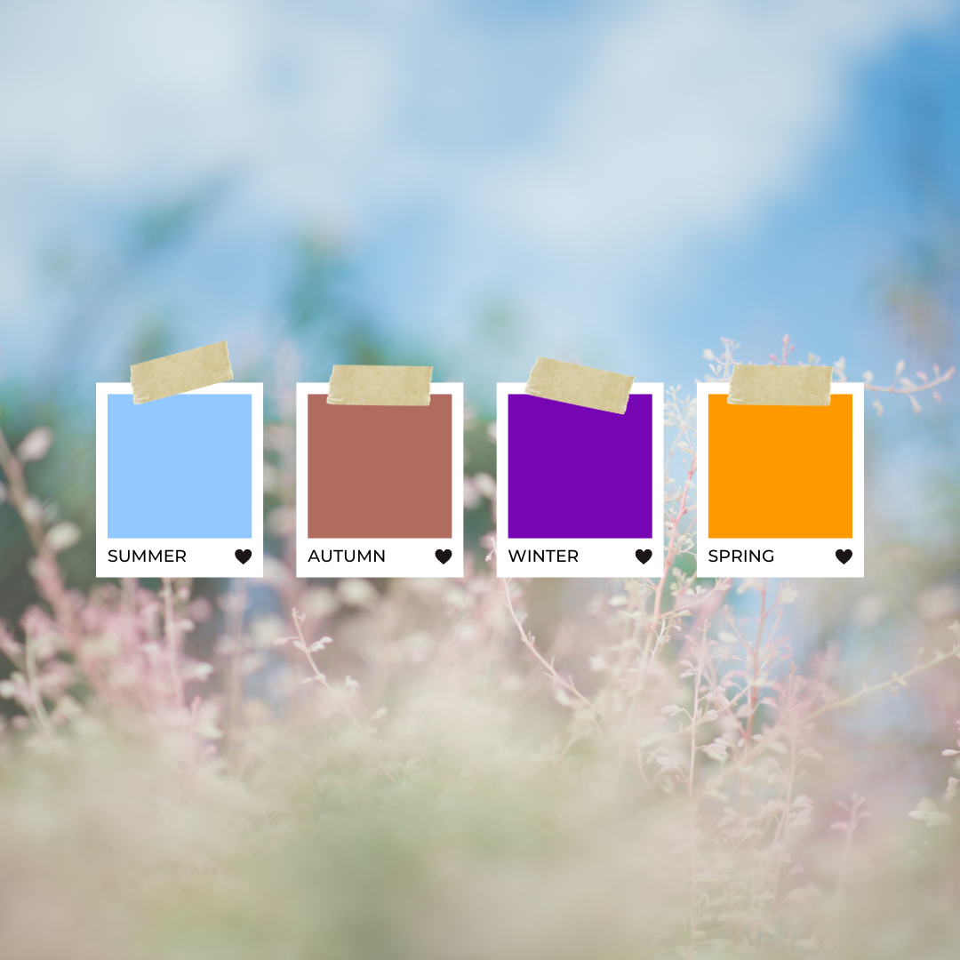 Colour Analysis & Personal Style Workshop