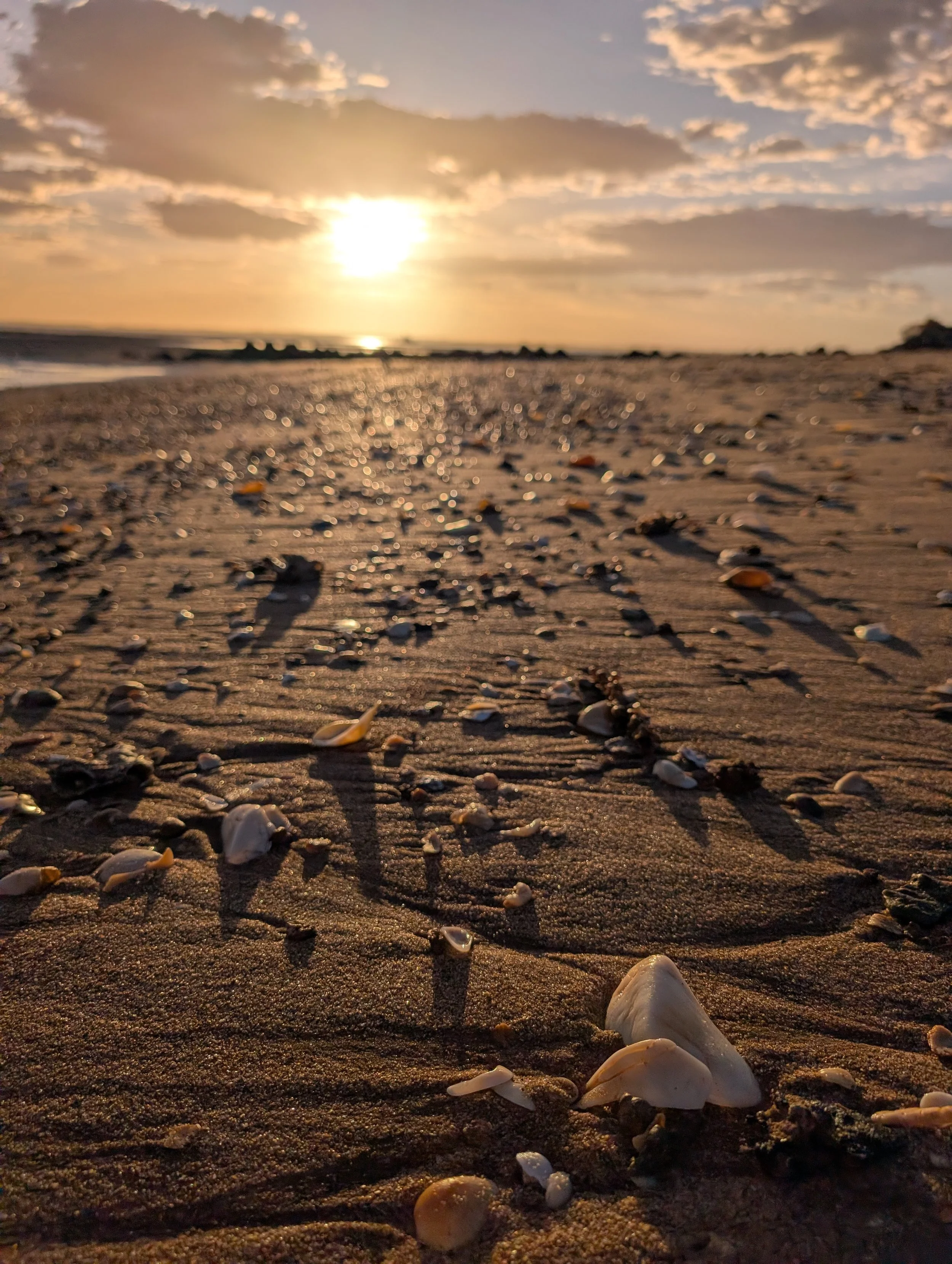 Remote Regional Workshop Tour