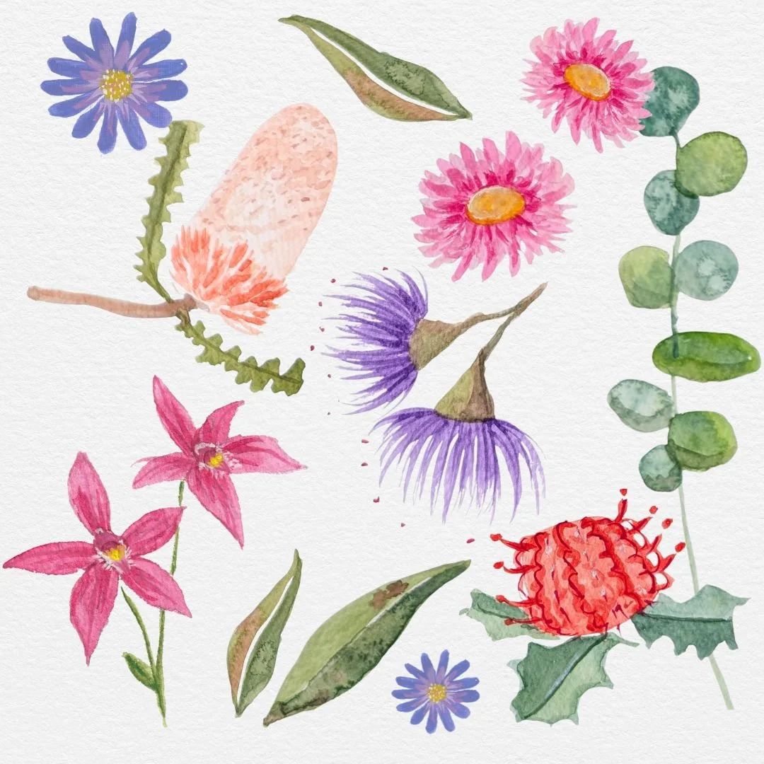 Watercolour: Wildflowers &amp; Botanicals