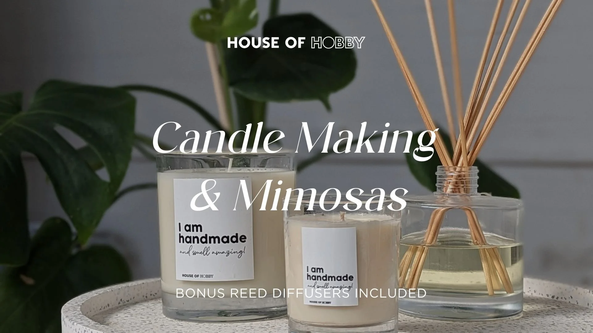 Candle Making & Mimosas Soy Candles & Diffusers in Brunswick — House