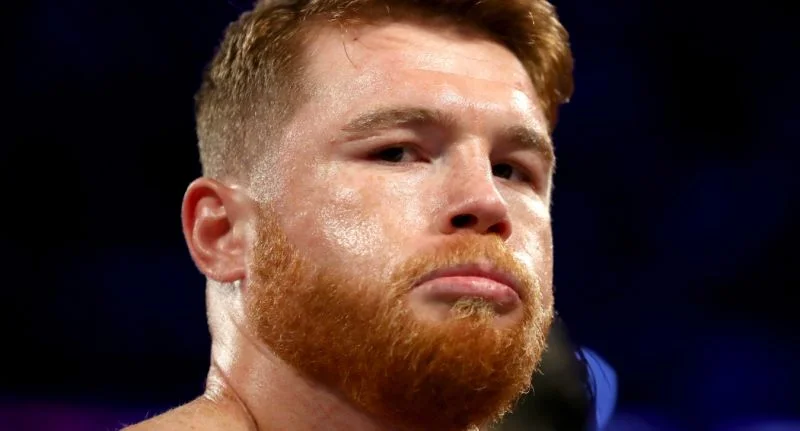 Canelo suspended.jpg
