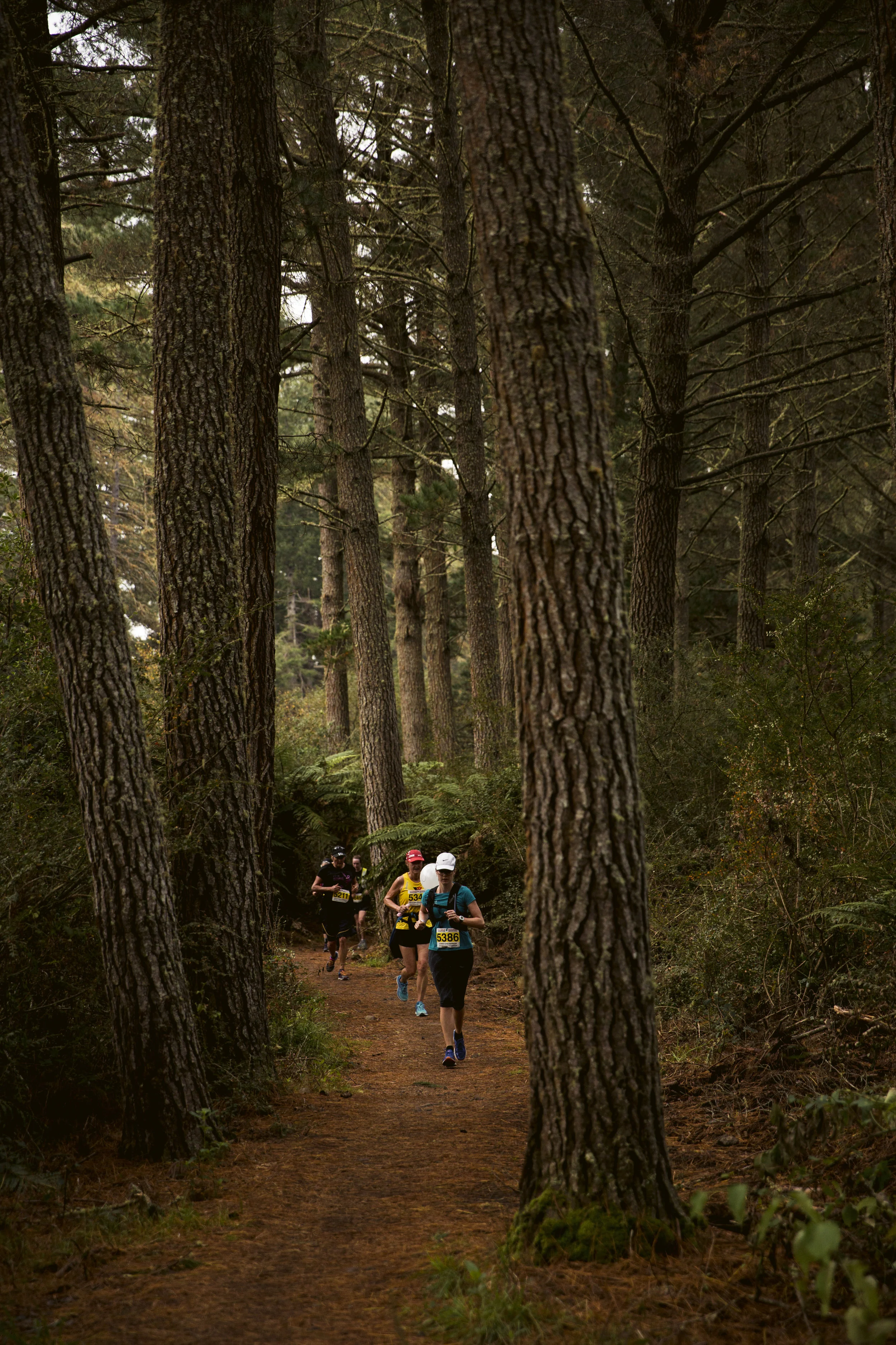 rotorua-marathon-100.jpg