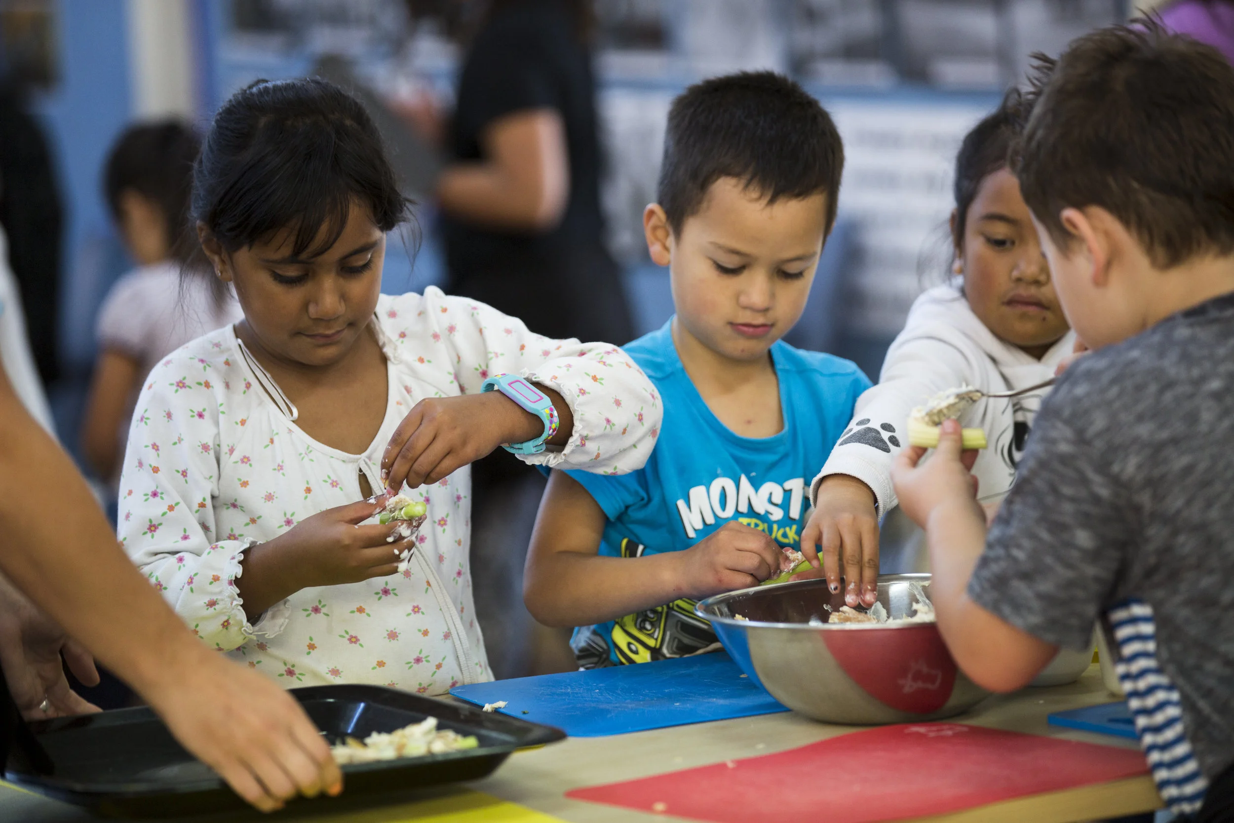 nestle-manurewa-082.jpg
