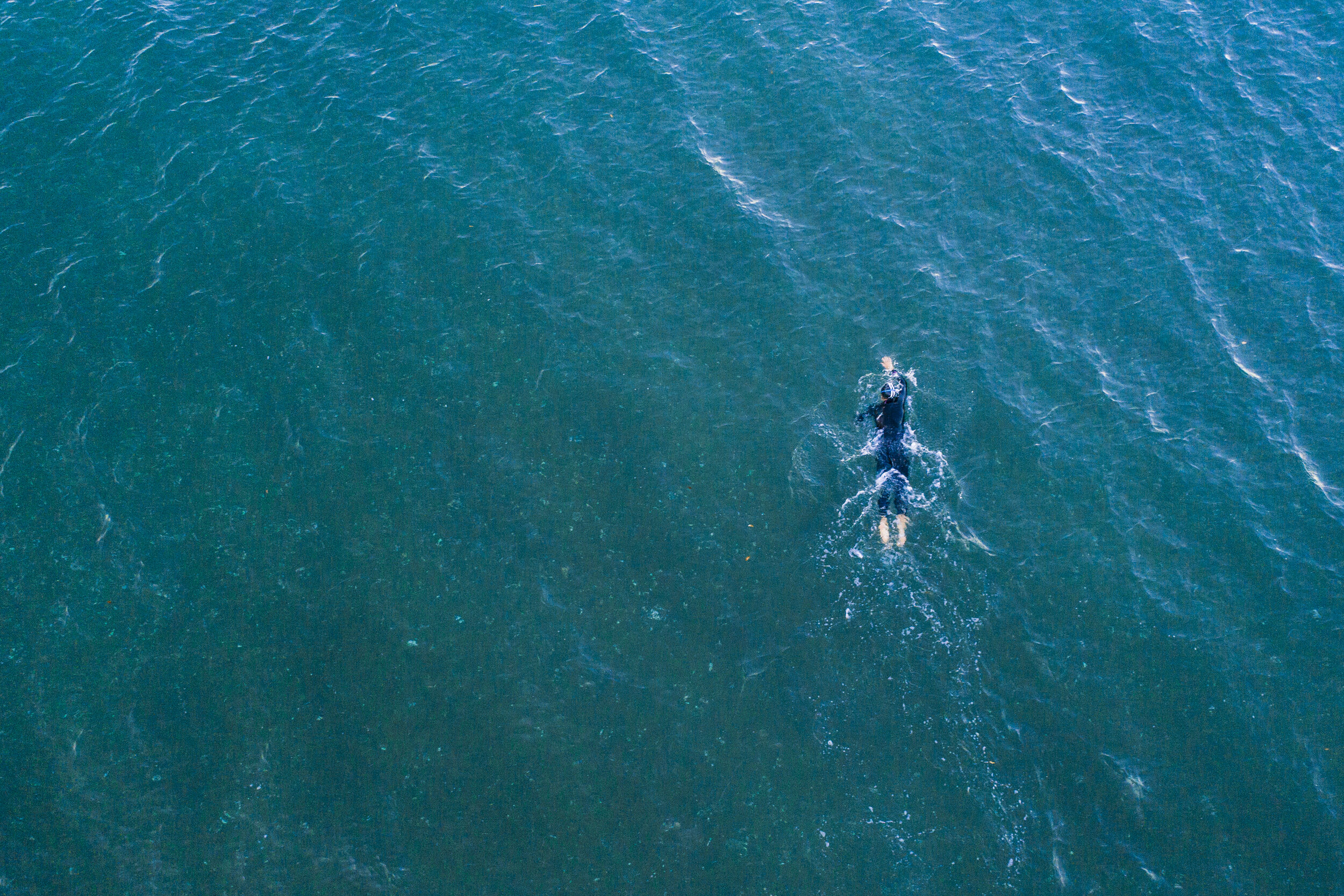 tash-sexy-wetsuit-013.jpg