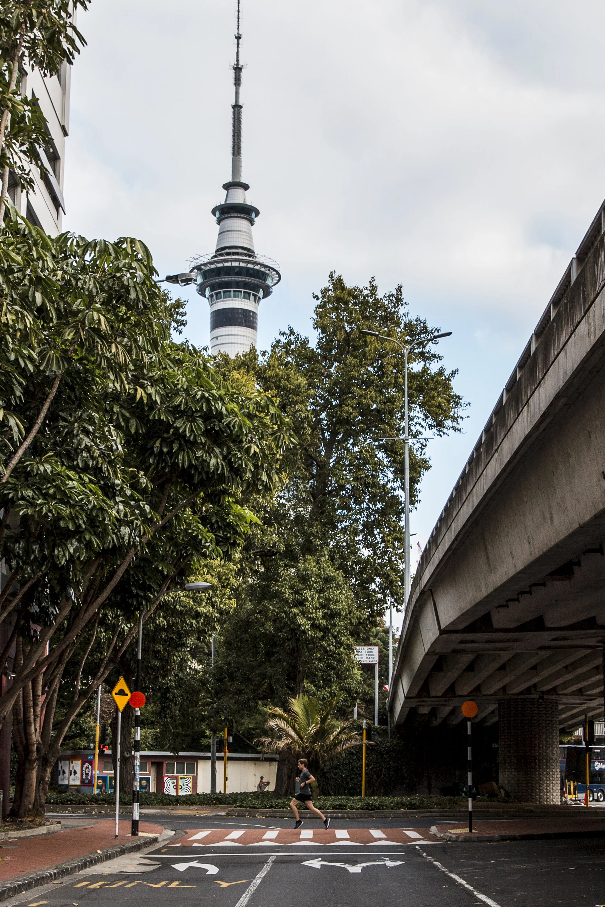 alisha-superior-kiwis-akl-cbd-003.jpg