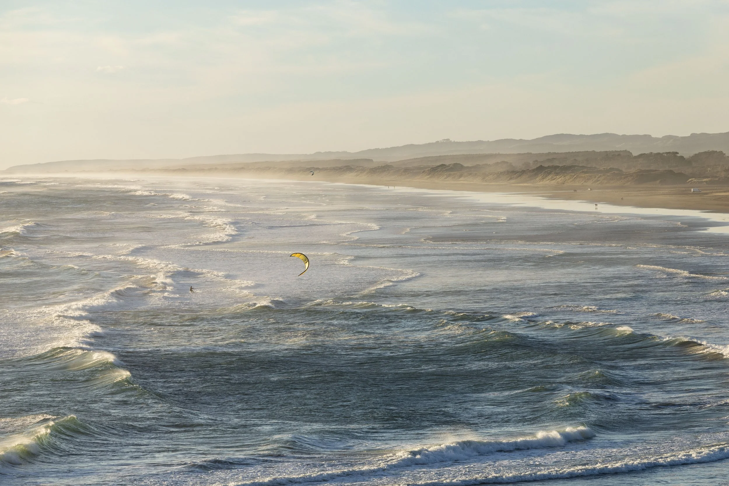 250412-muriwai-smaller-208.jpg